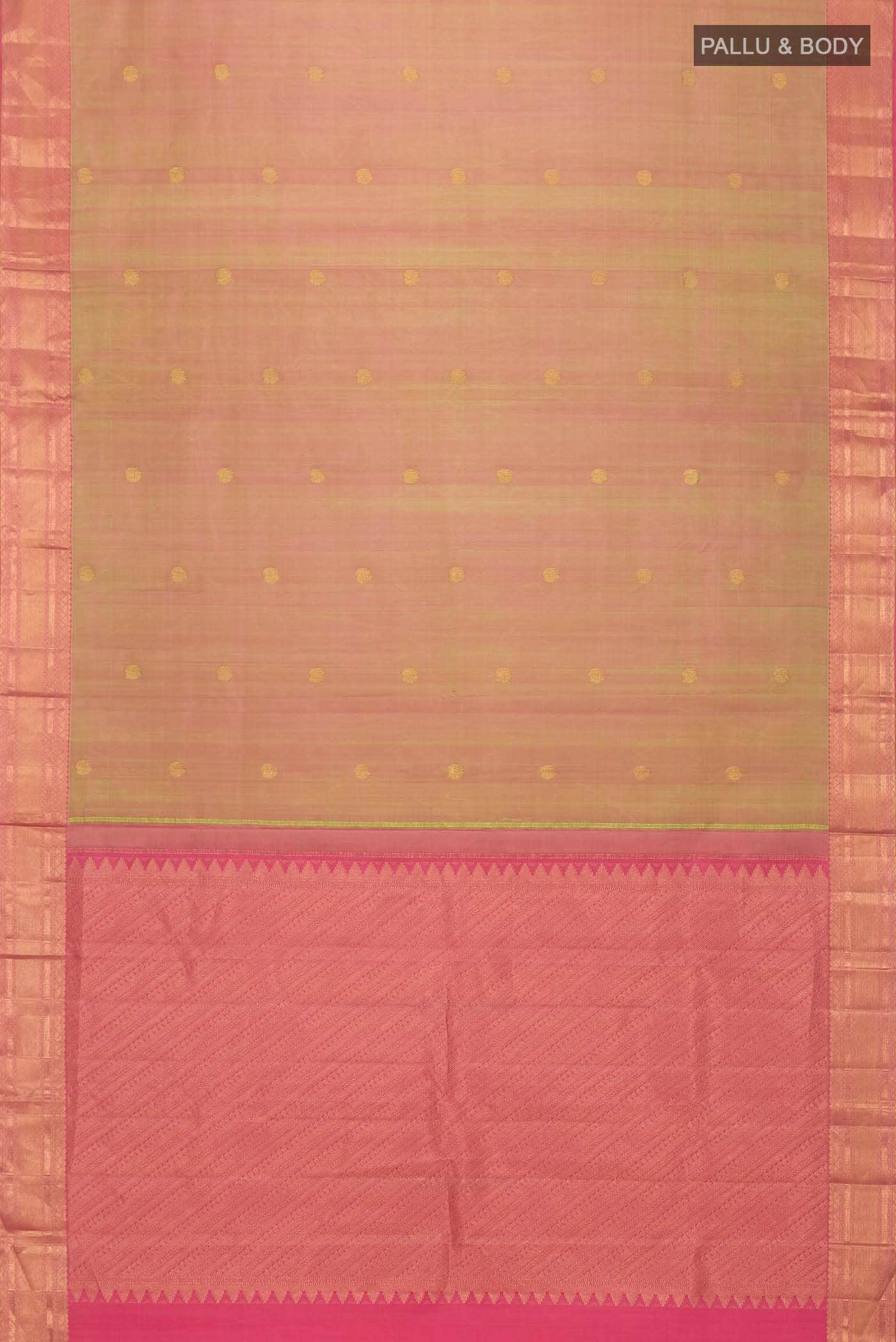 Multi Kanchipuram Silk Saree