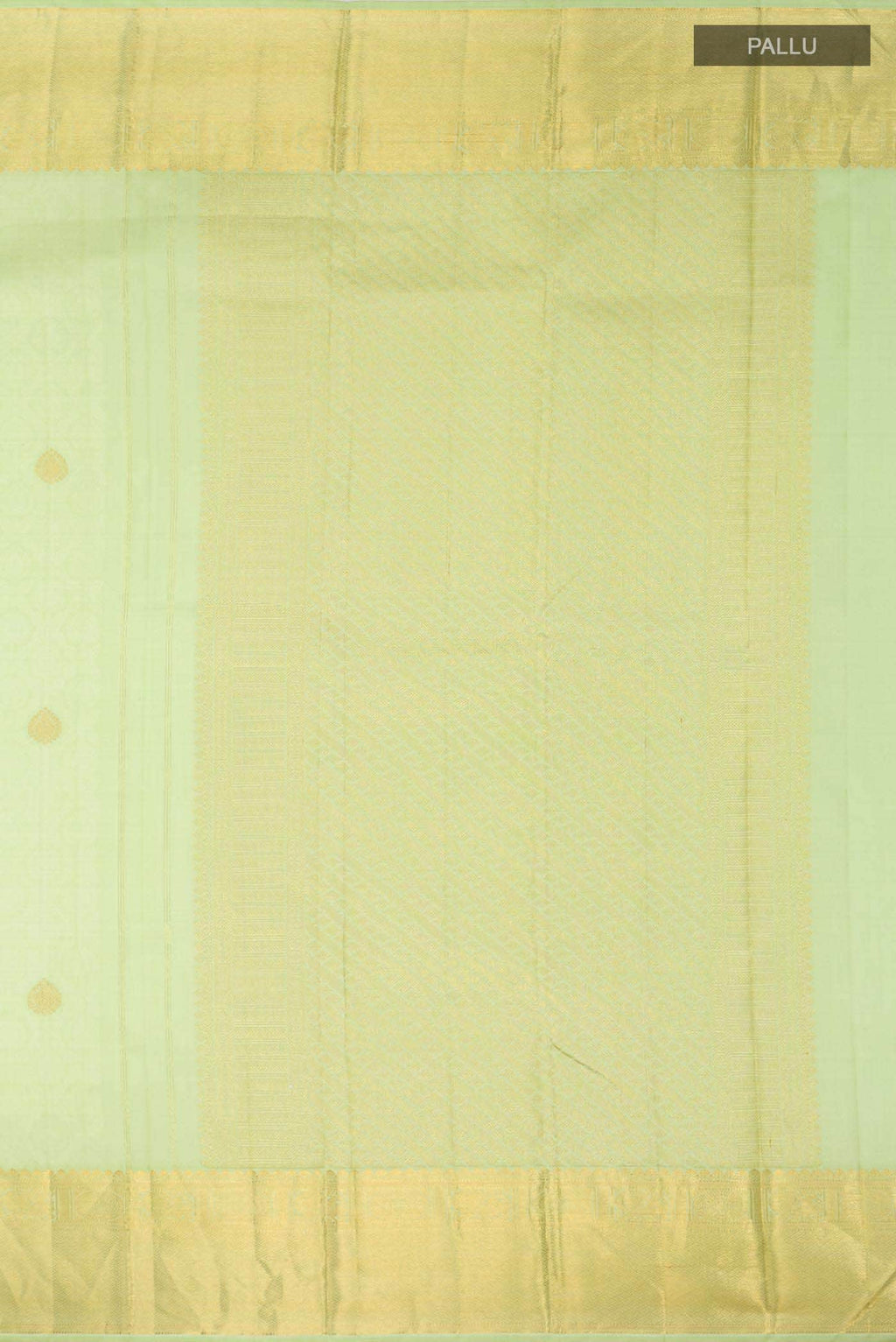 Light Green Kanchipuram Silk Saree