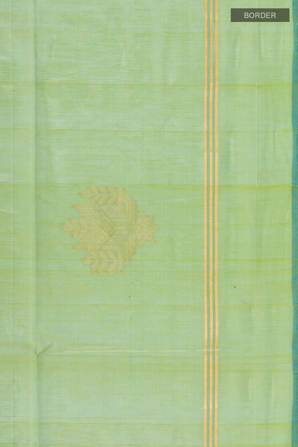 Green Silk Cotton Saree