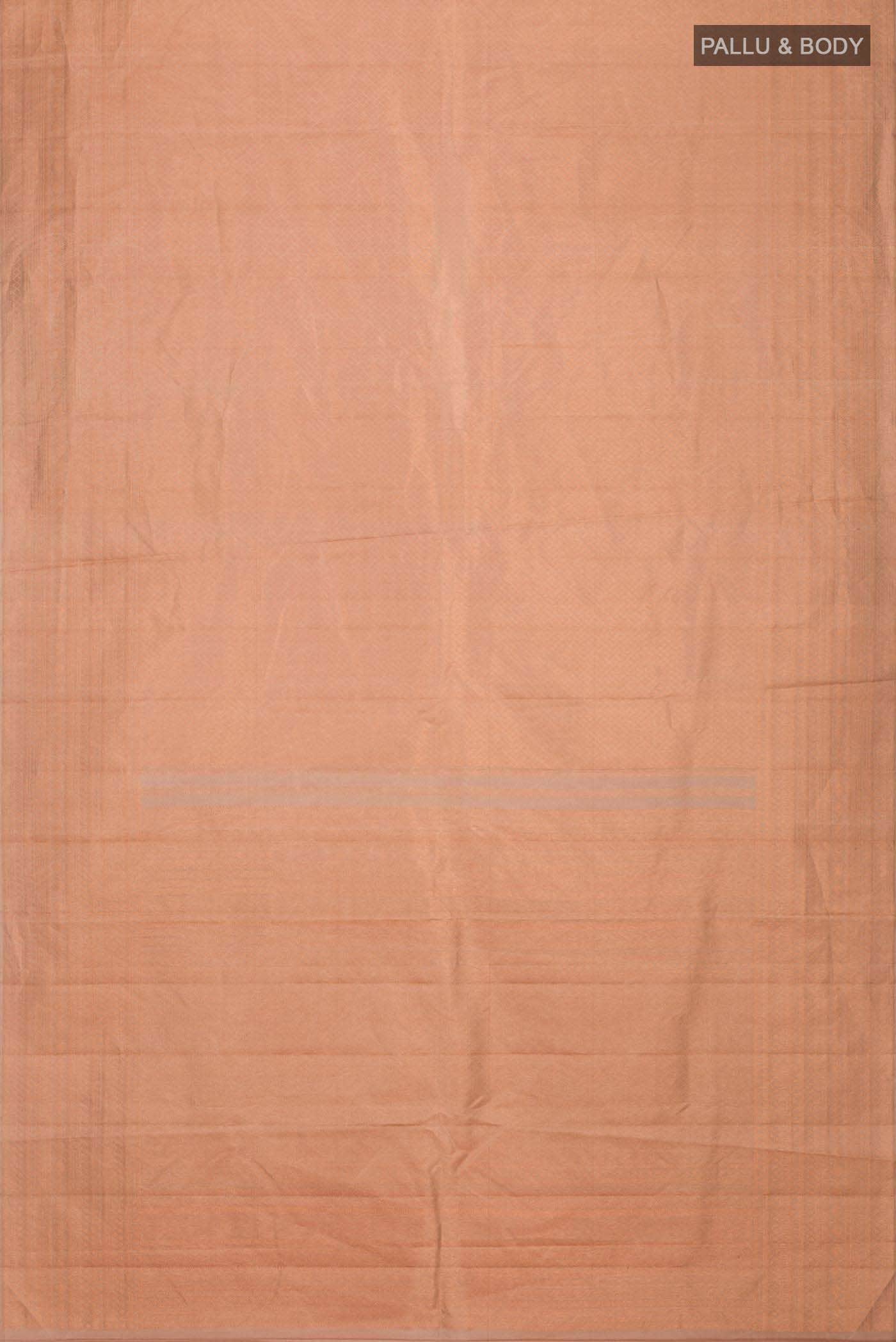 Beige Kanchipuram Silk Saree