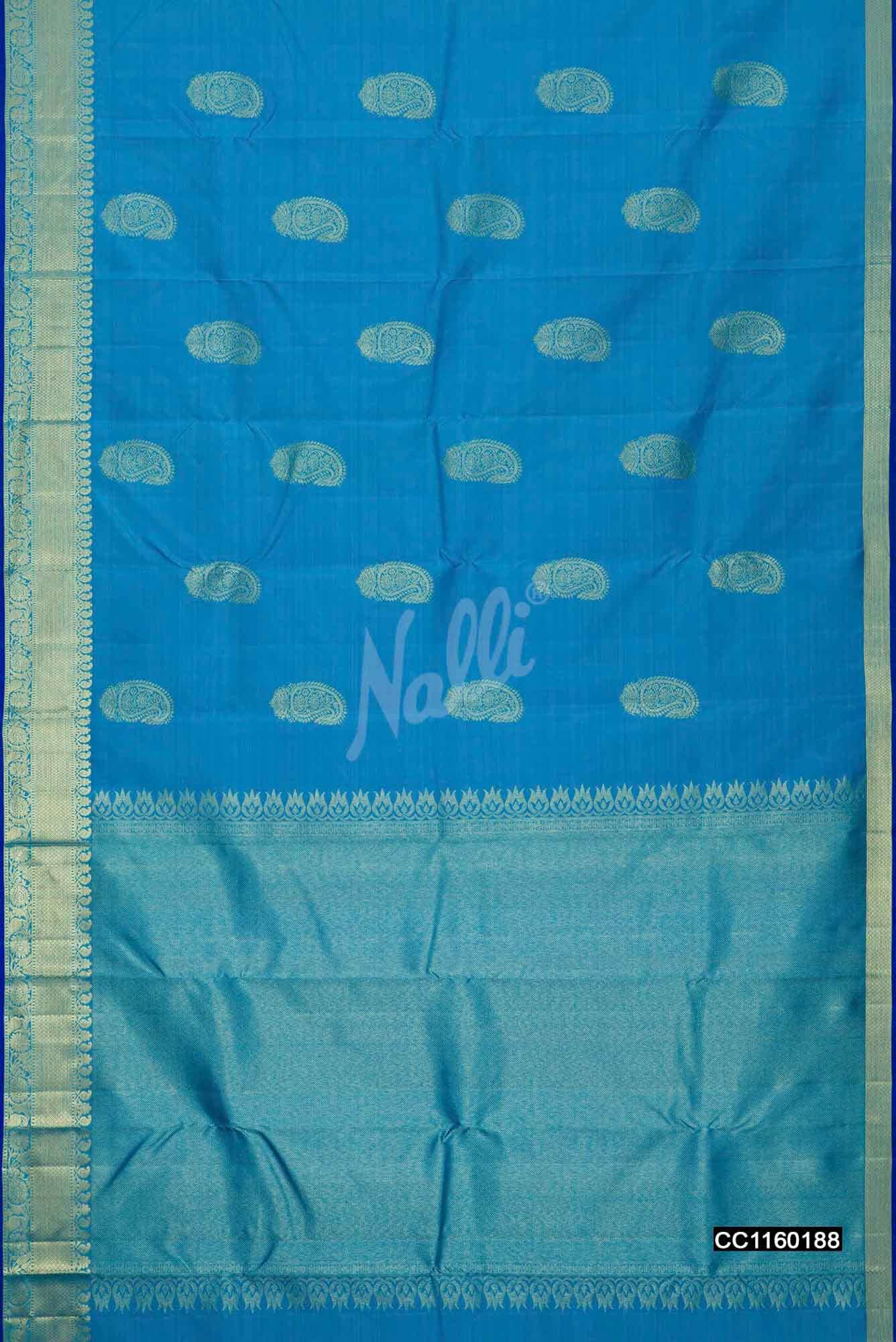 Sky Blue Kanchipuram Silk Saree