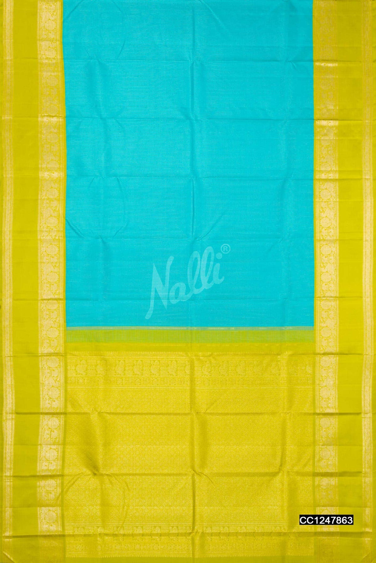 Sky Blue Kanchipuram Silk Saree