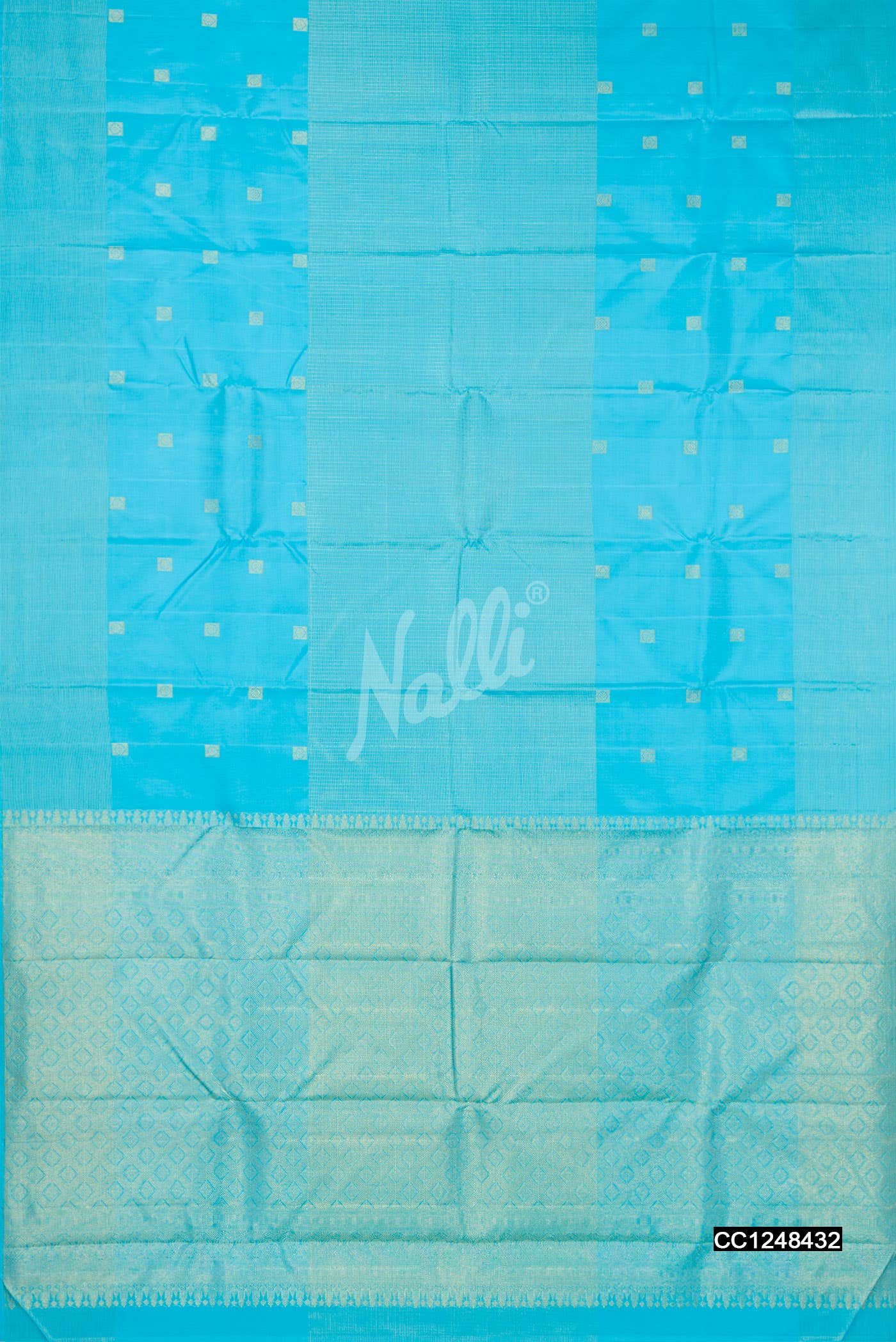 Sky Blue Kanchipuram Silk Saree