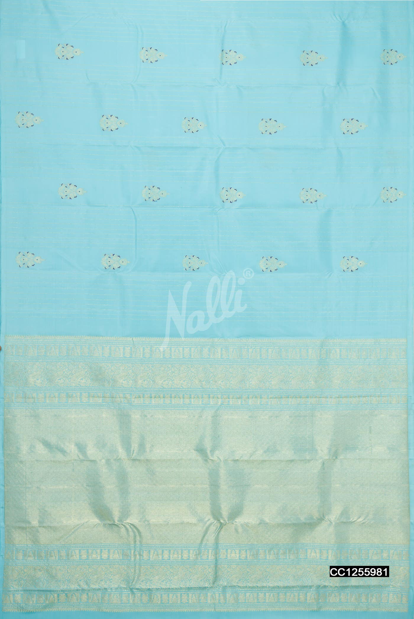Sky Blue Kanchipuram Silk Saree