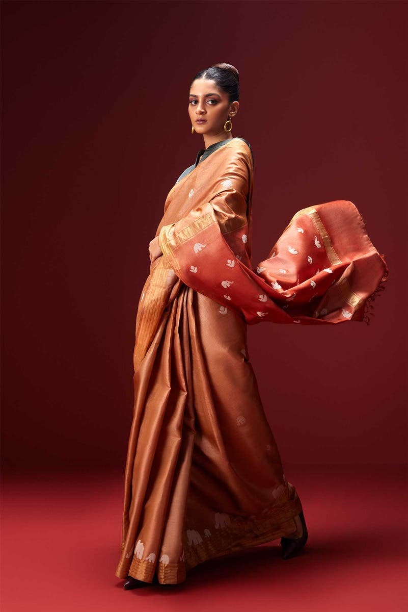 Elephant Whispers-Brown Bhagalpuri Tussar Silk Saree