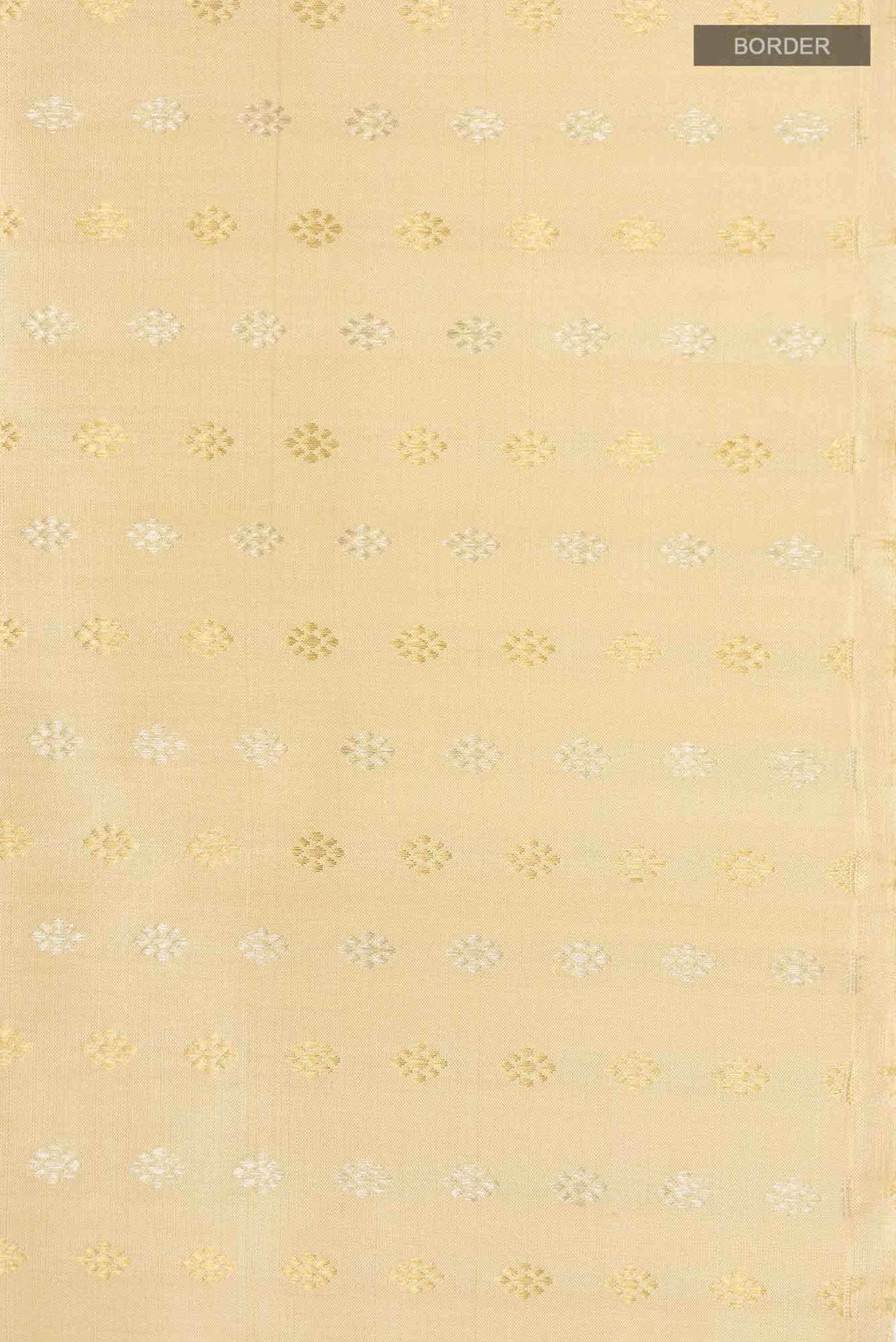 Beige Kanchipuram Silk Saree
