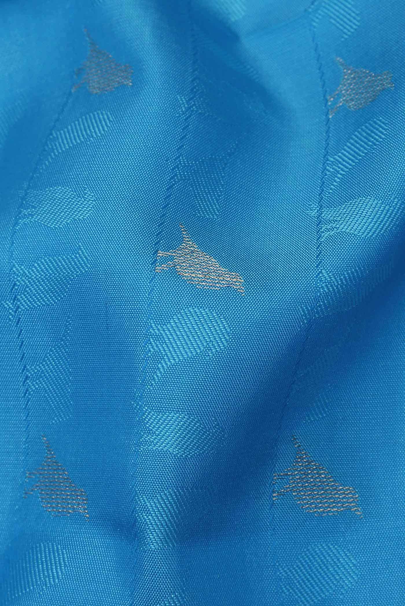 Blue Kanchipuram Silk Saree