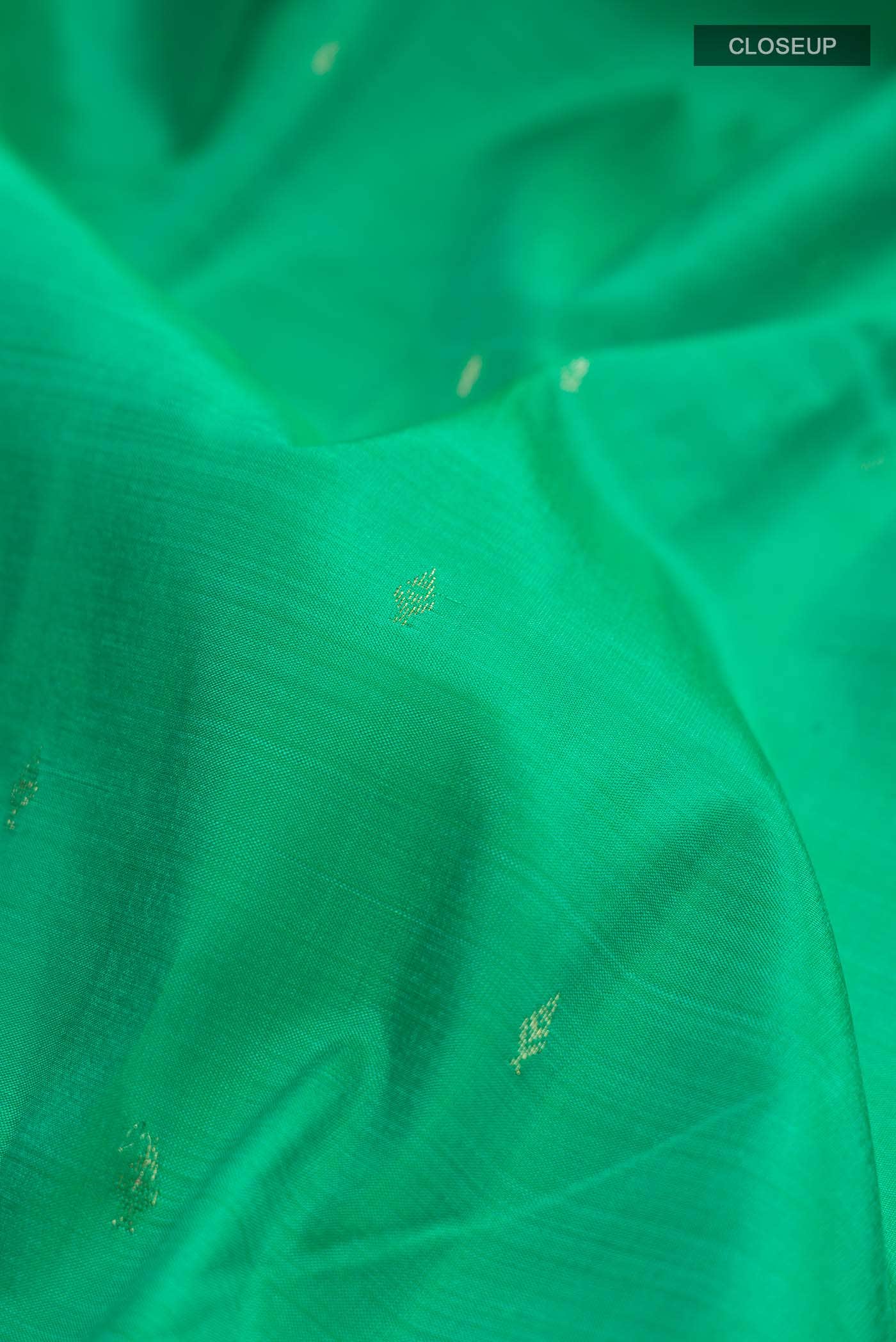Green Kanchipuram Silk Saree