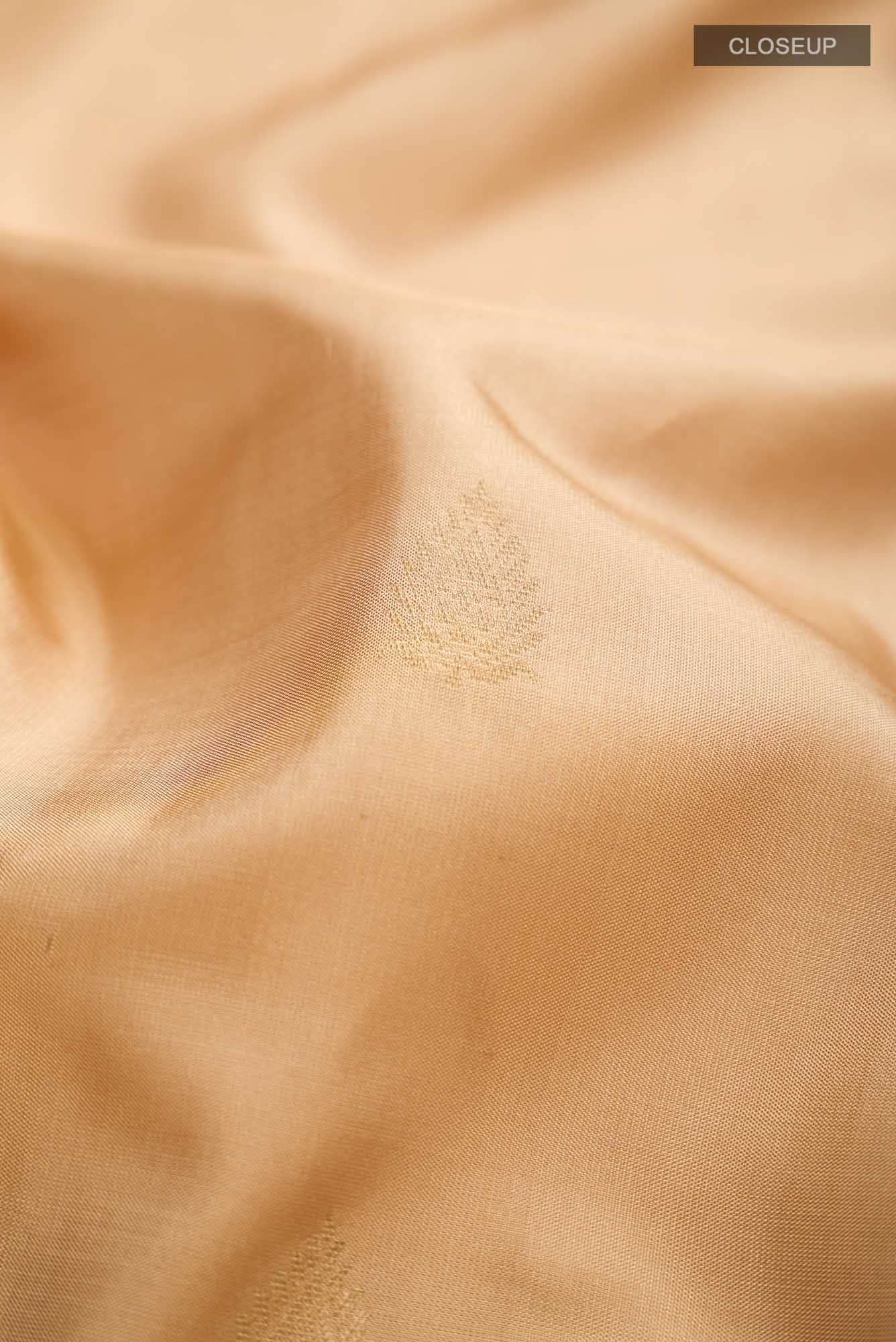 Beige Soft Silk Saree