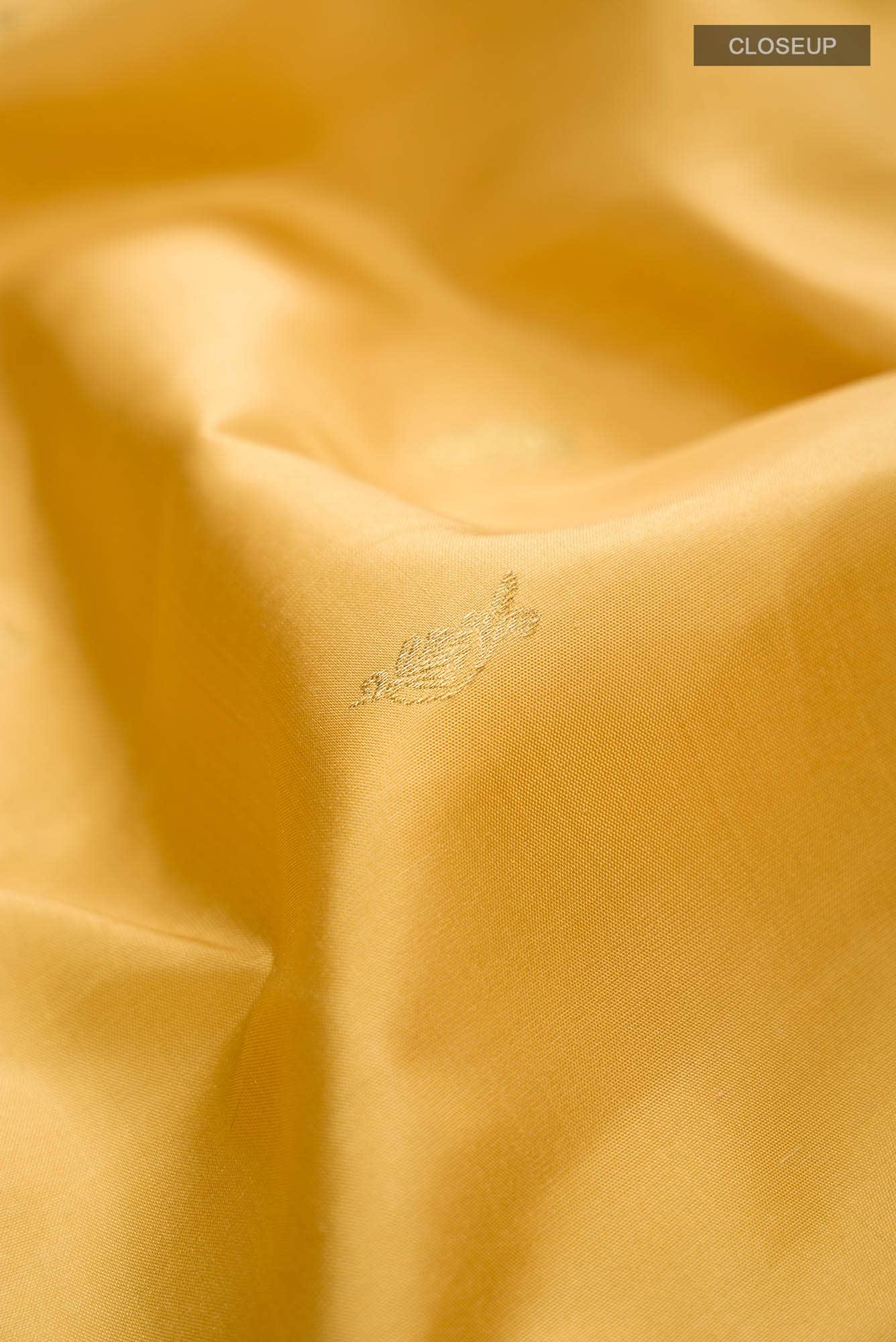Beige Kanchipuram Silk Saree