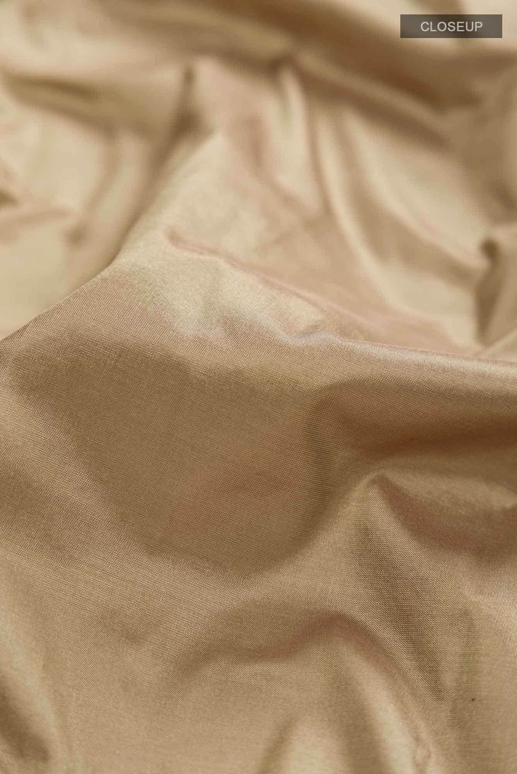 Beige Bangalore Silk Saree