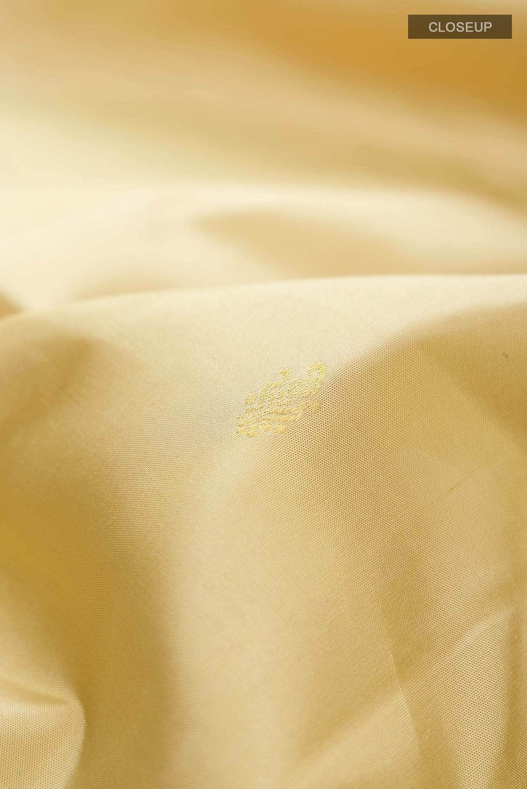 Beige Kanchipuram Silk Saree