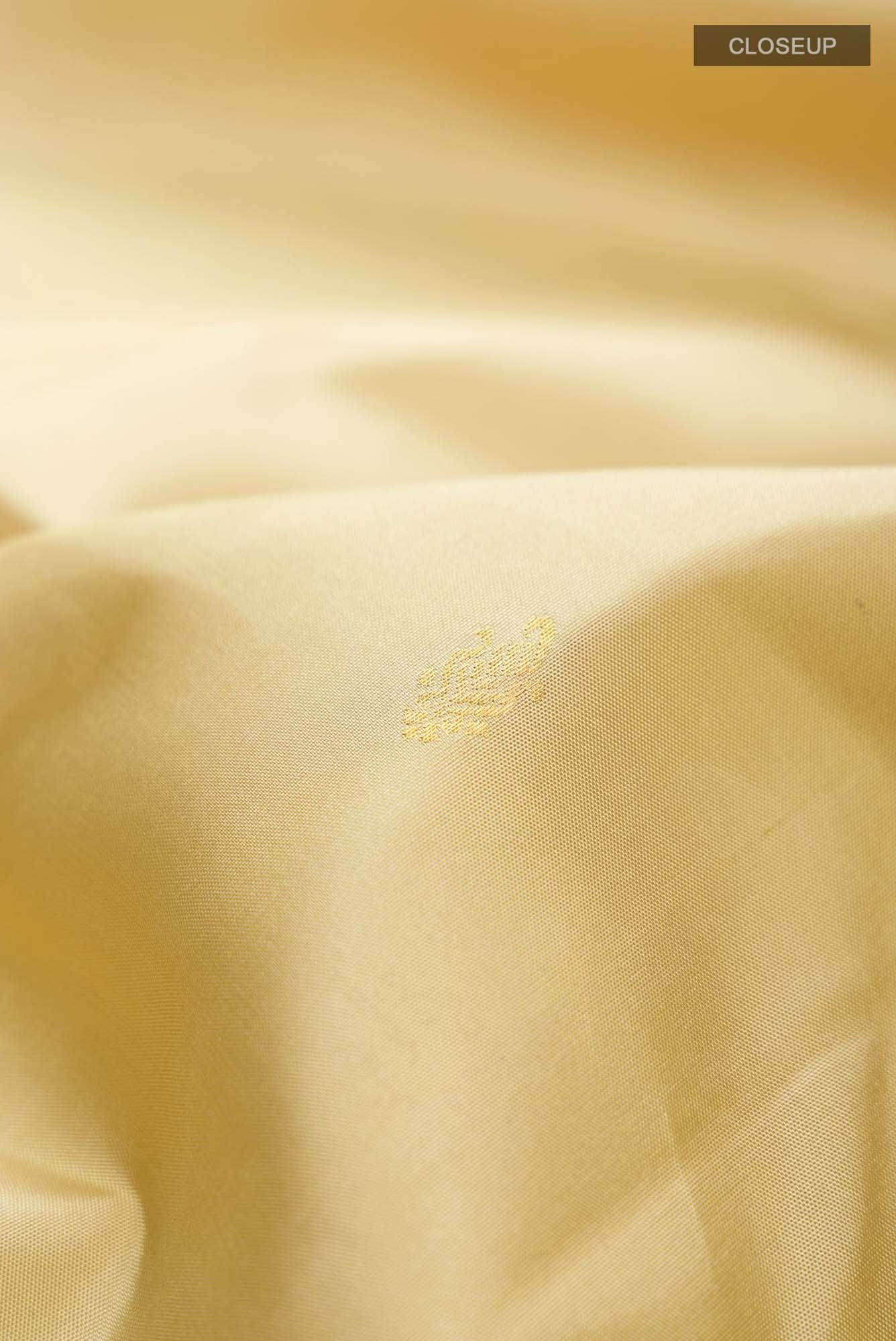 Beige Kanchipuram Silk Saree