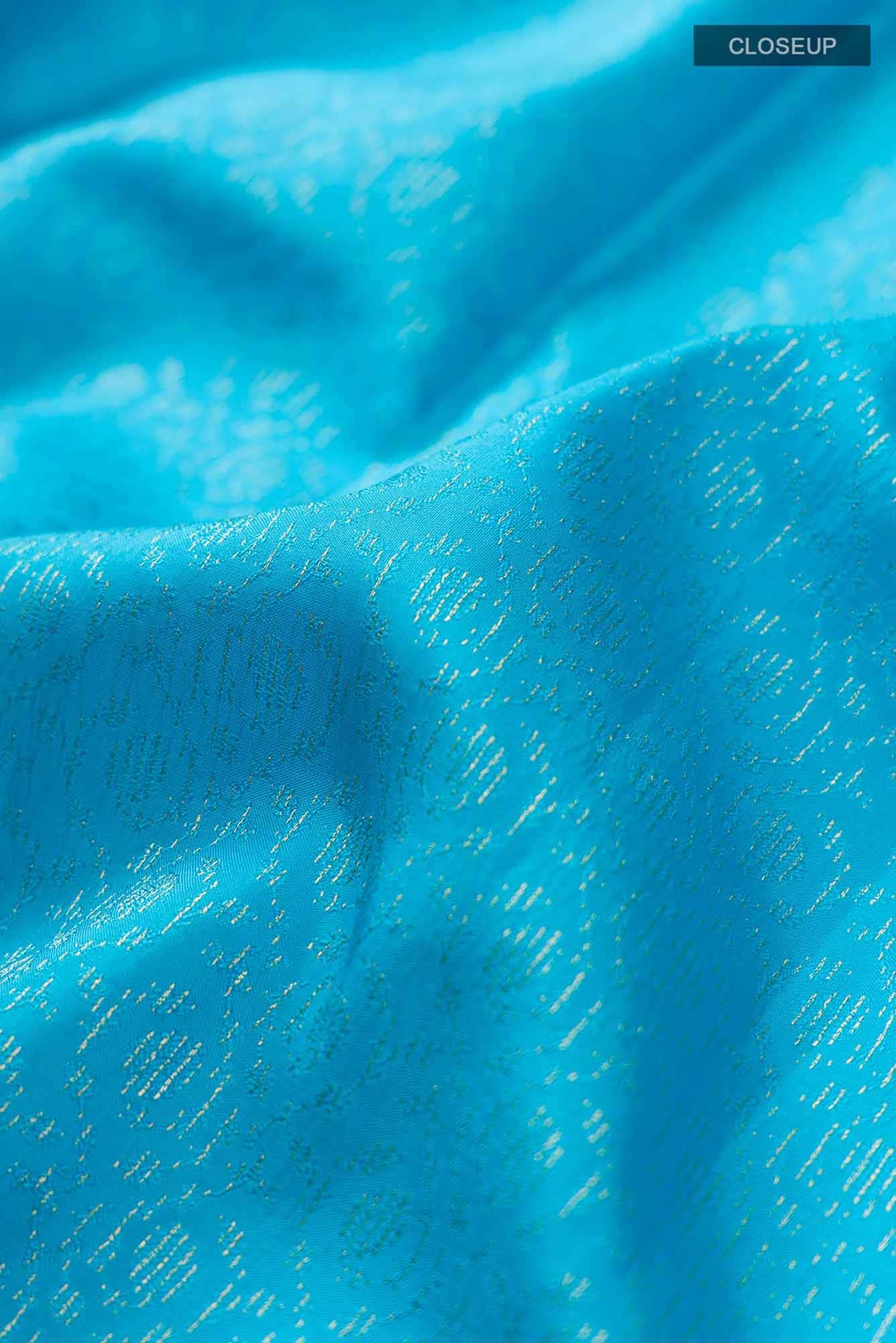 Blue Kanchipuram Silk Saree