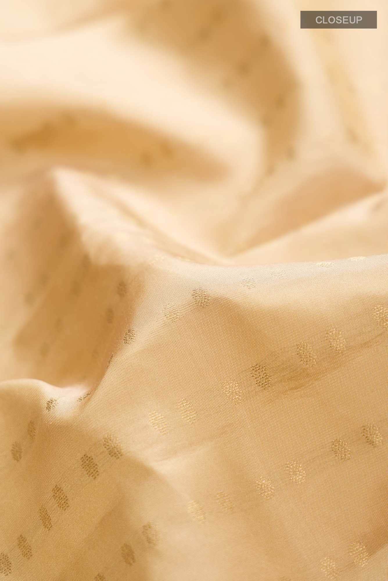 Beige Kanchipuram Silk Saree