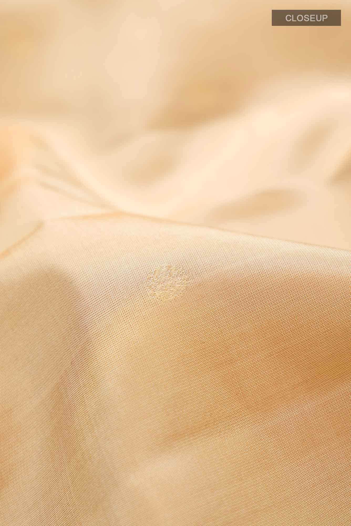 Beige Kanchipuram Silk Saree