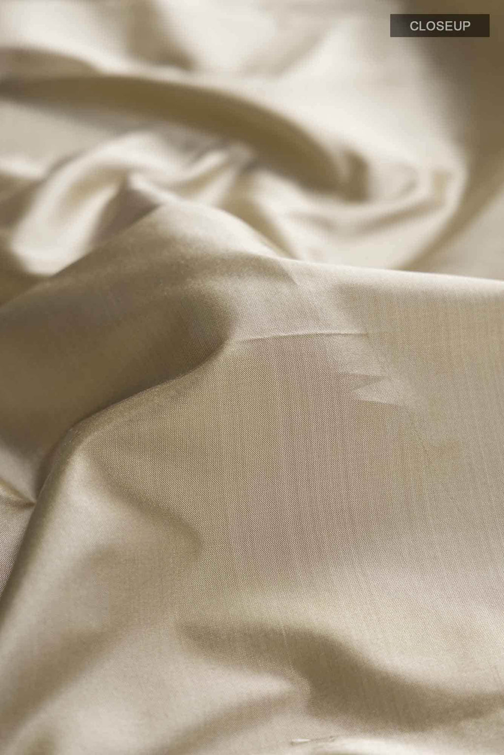 Beige Bangalore Silk Saree