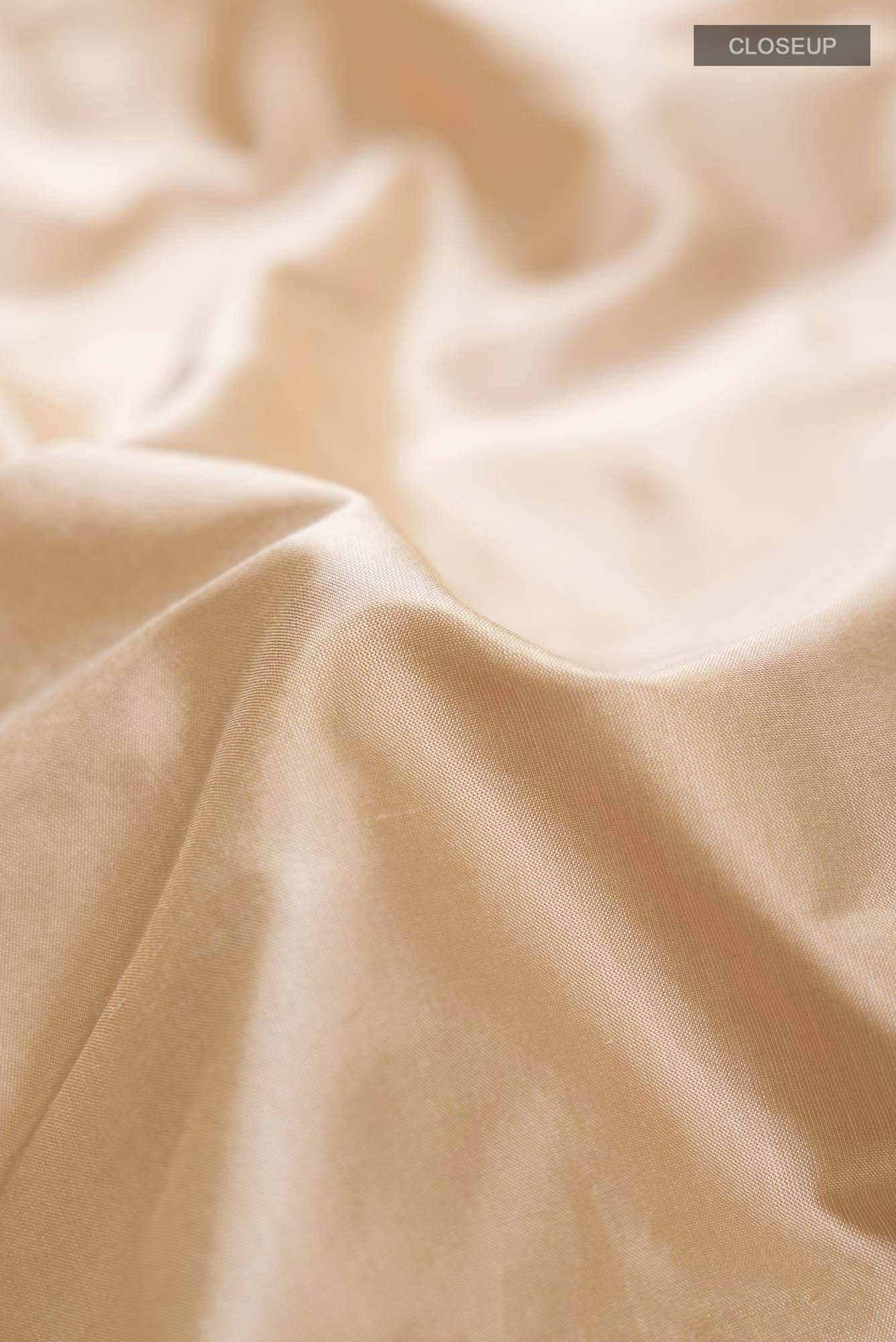 Beige Bangalore Silk Saree
