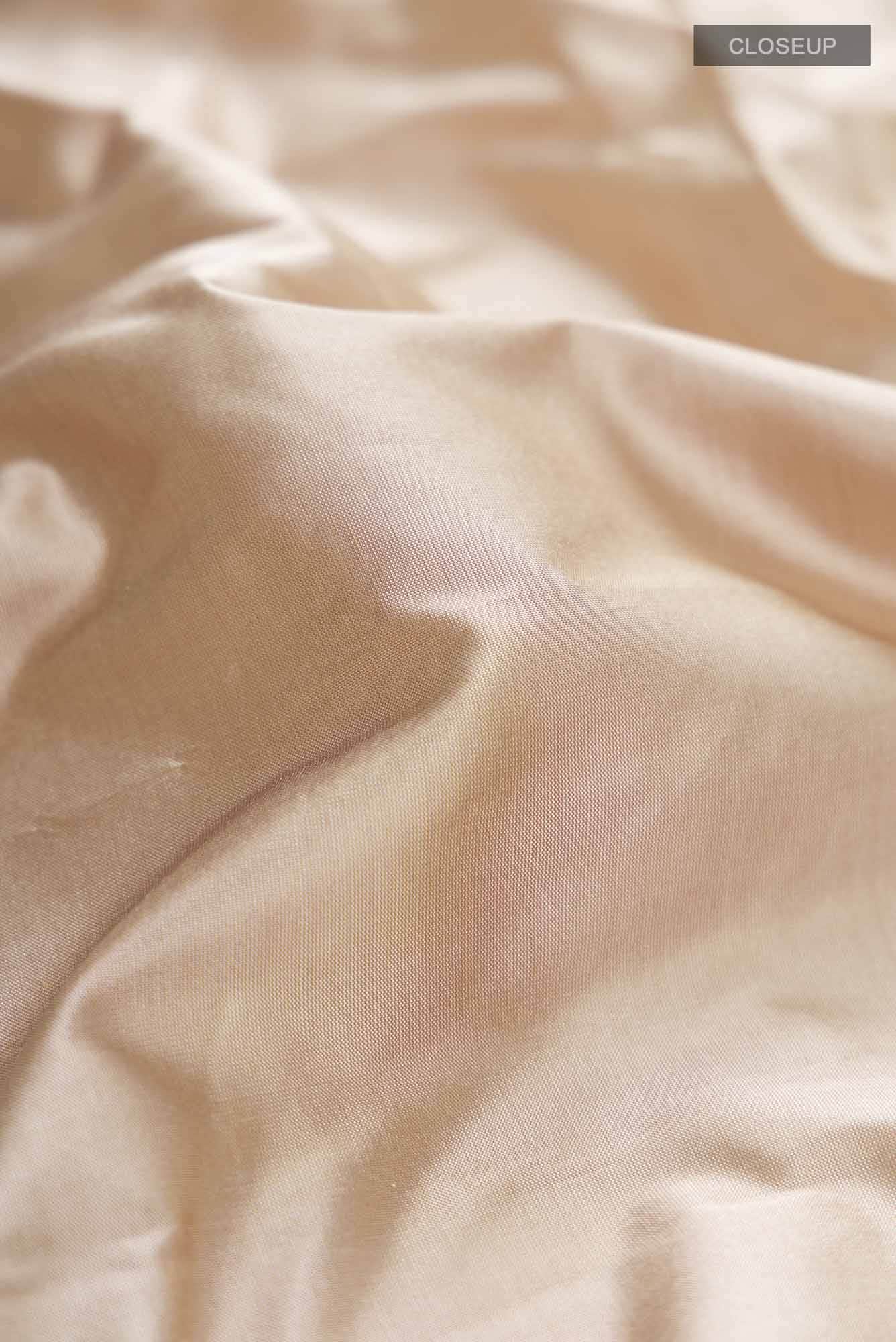 Beige Bangalore Silk Saree