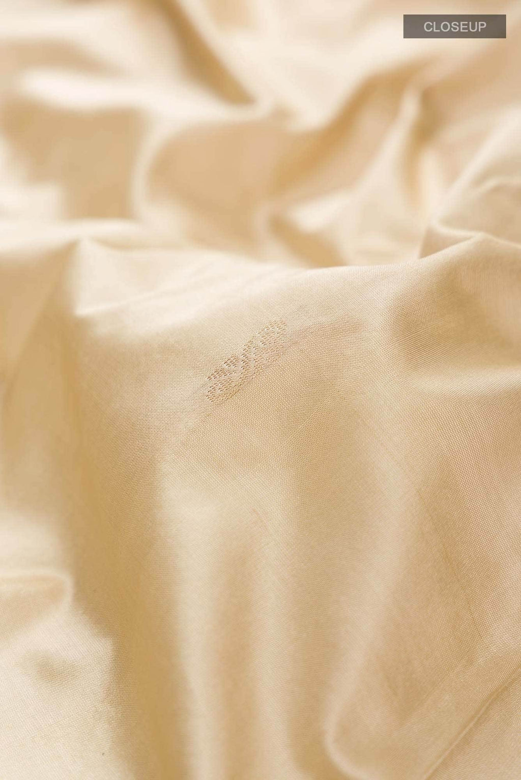 Beige Bangalore Silk Saree