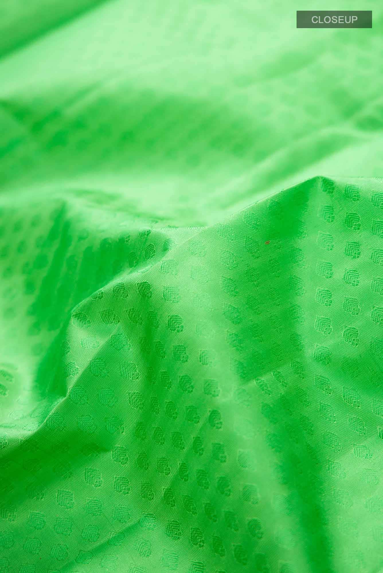Green Kanchipuram Silk Saree