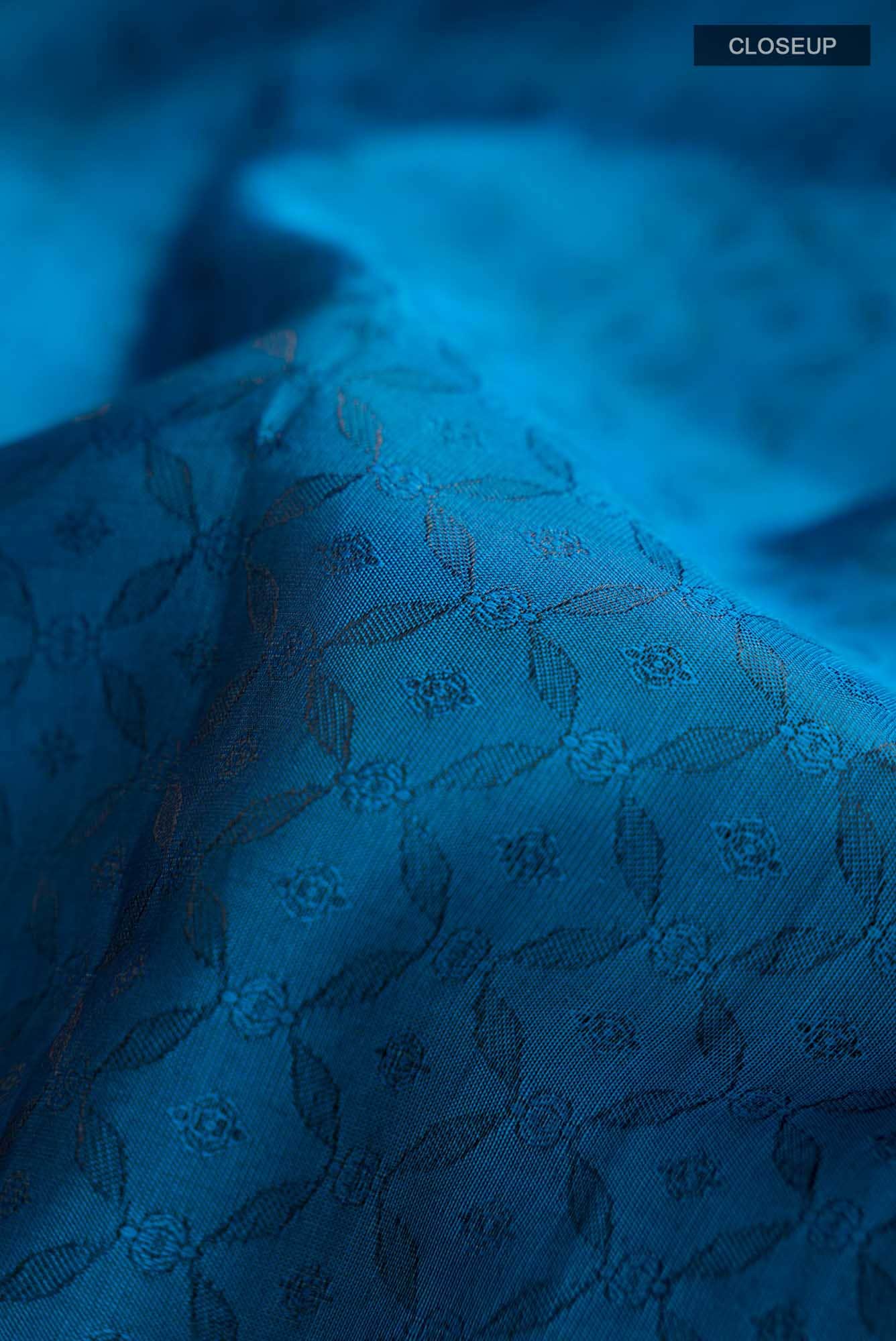 Blue Kanchipuram Silk Saree