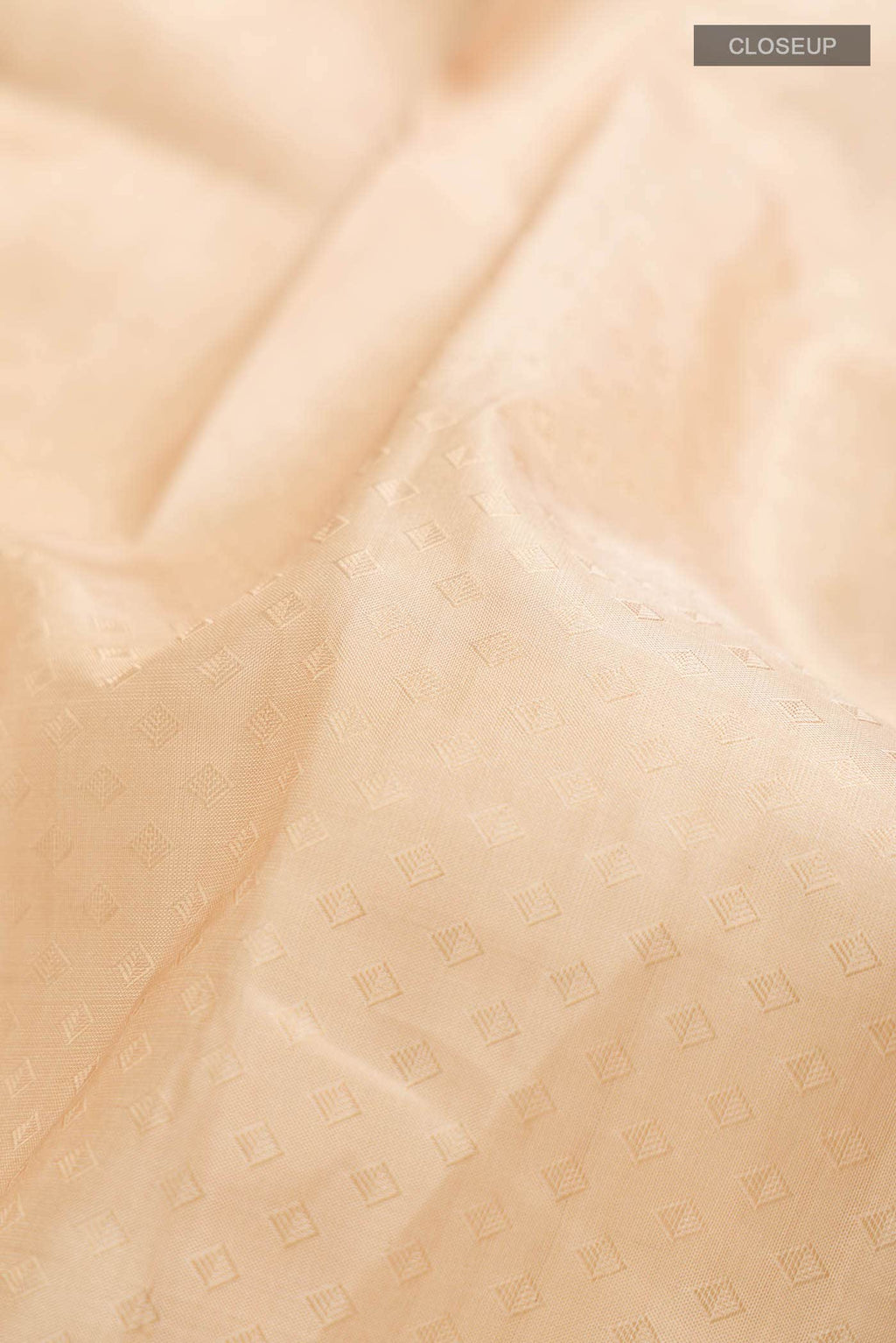 Beige Kanchipuram Silk Saree