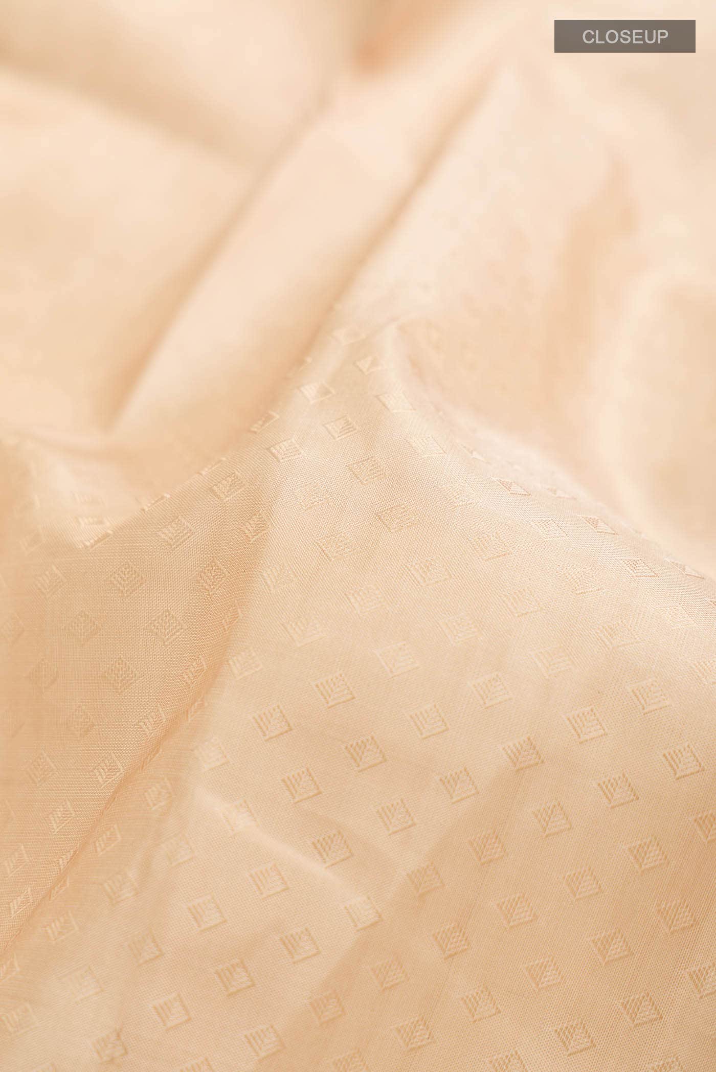 Beige Kanchipuram Silk Saree