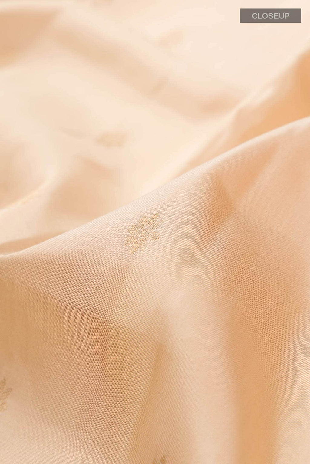 Beige Kanchipuram Silk Saree