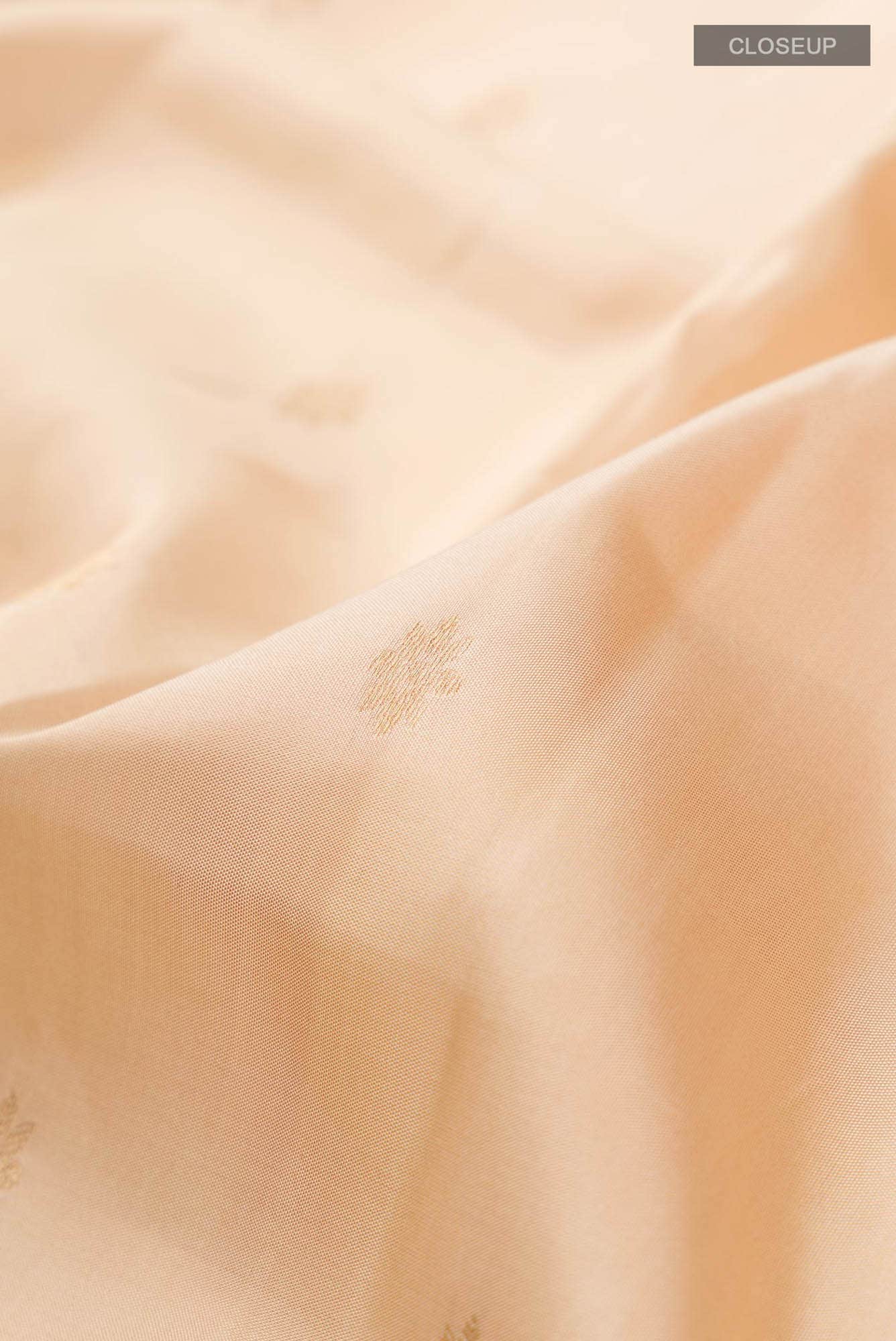 Beige Kanchipuram Silk Saree