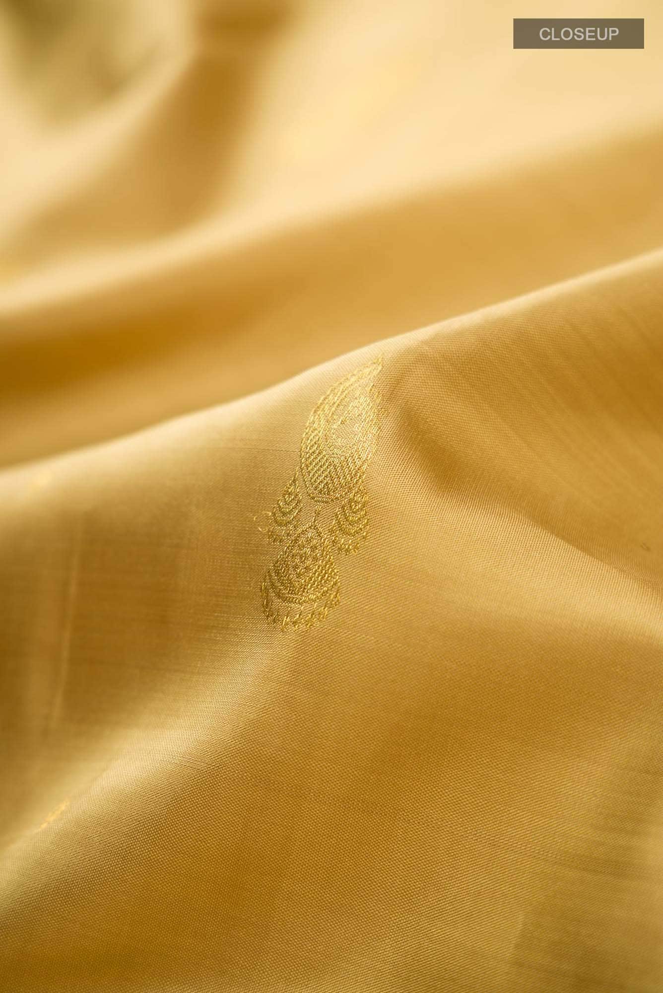 Dark Beige Kanchipuram Silk Saree