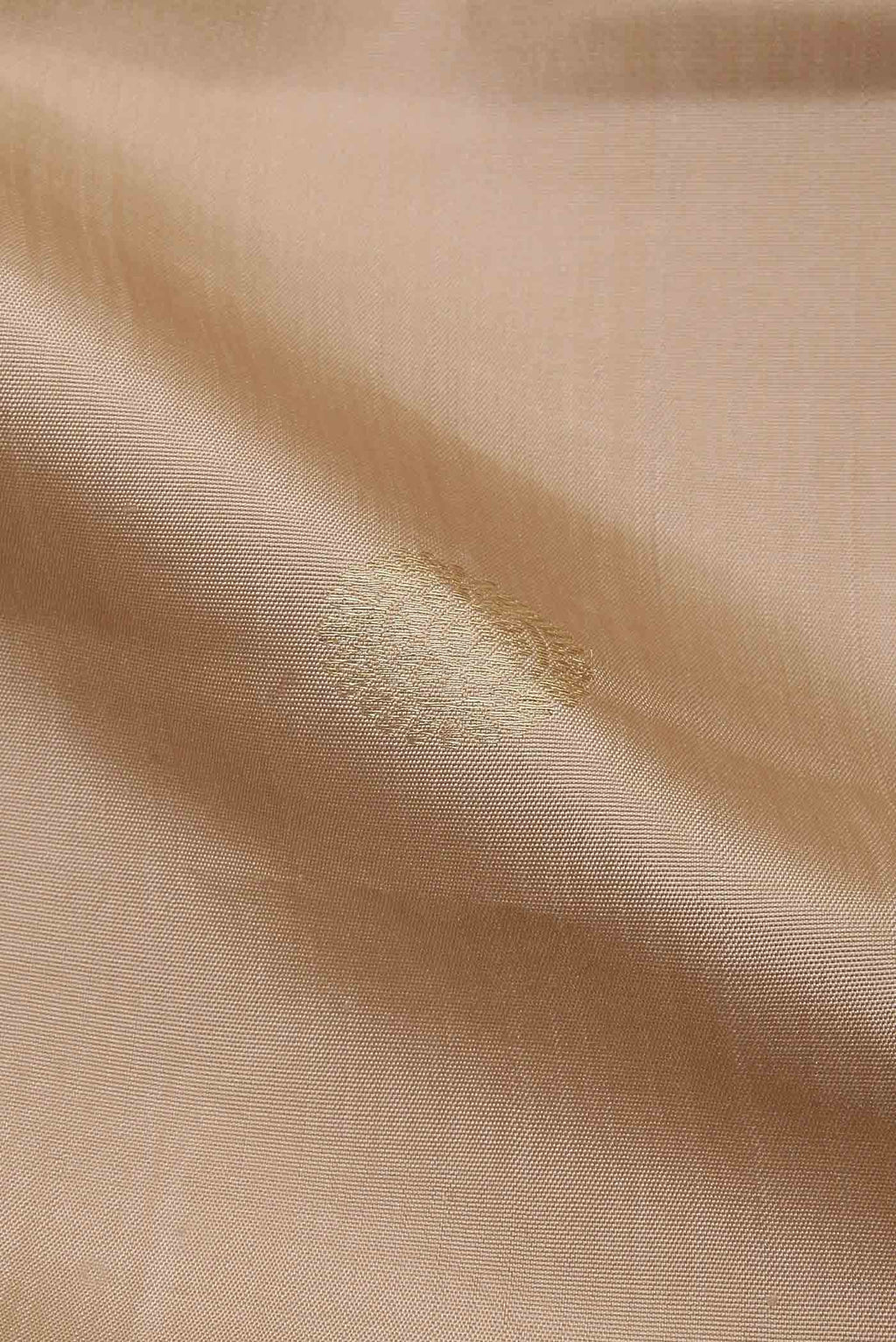 Beige Kanchipuram Silk Saree
