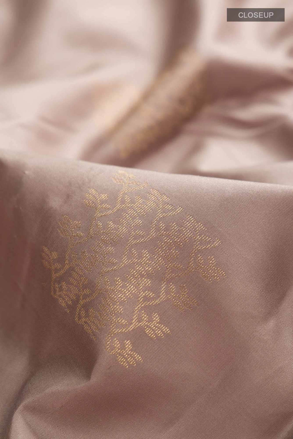 Beige Kanchipuram Silk Saree