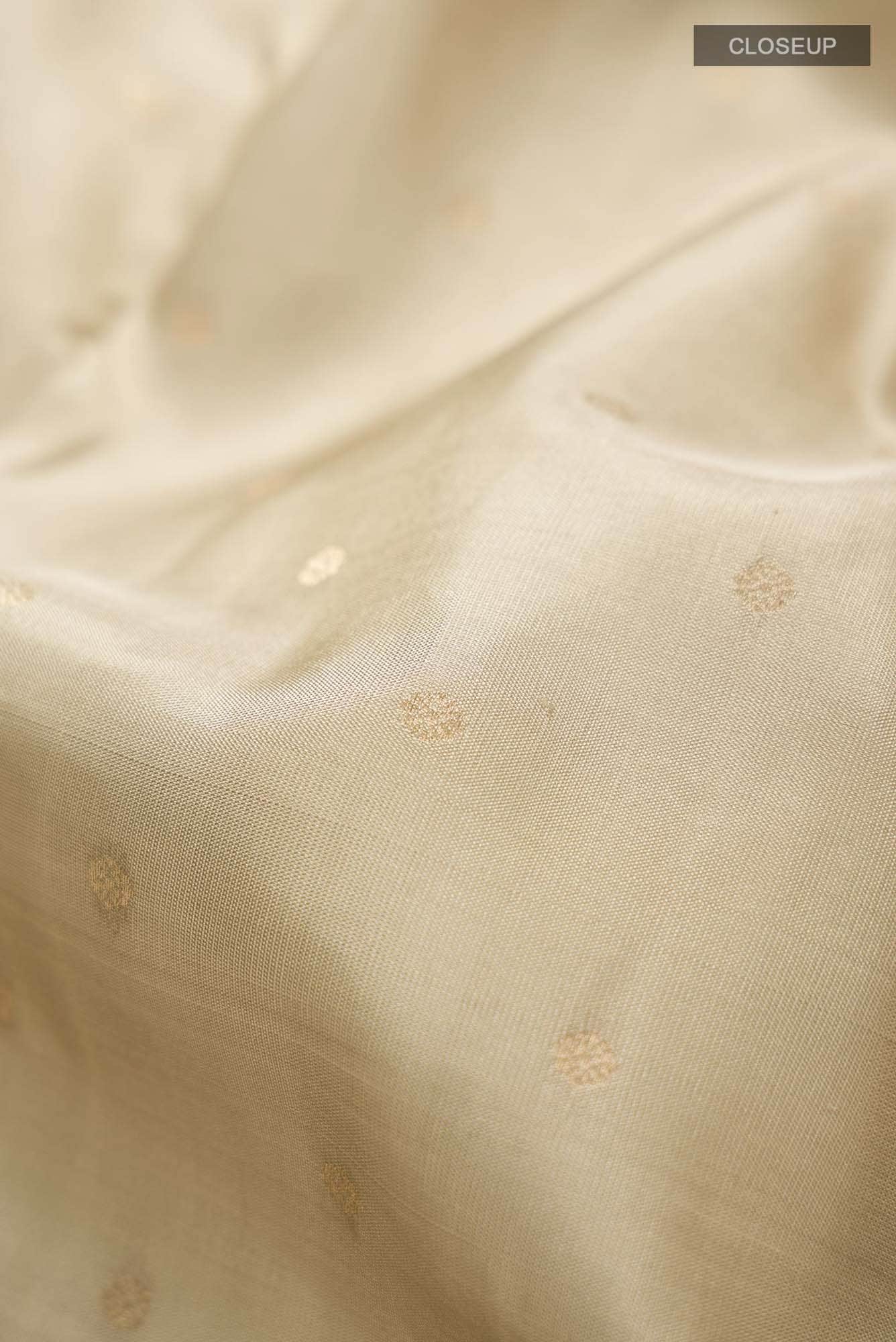 Beige Kanchipuram Silk Saree