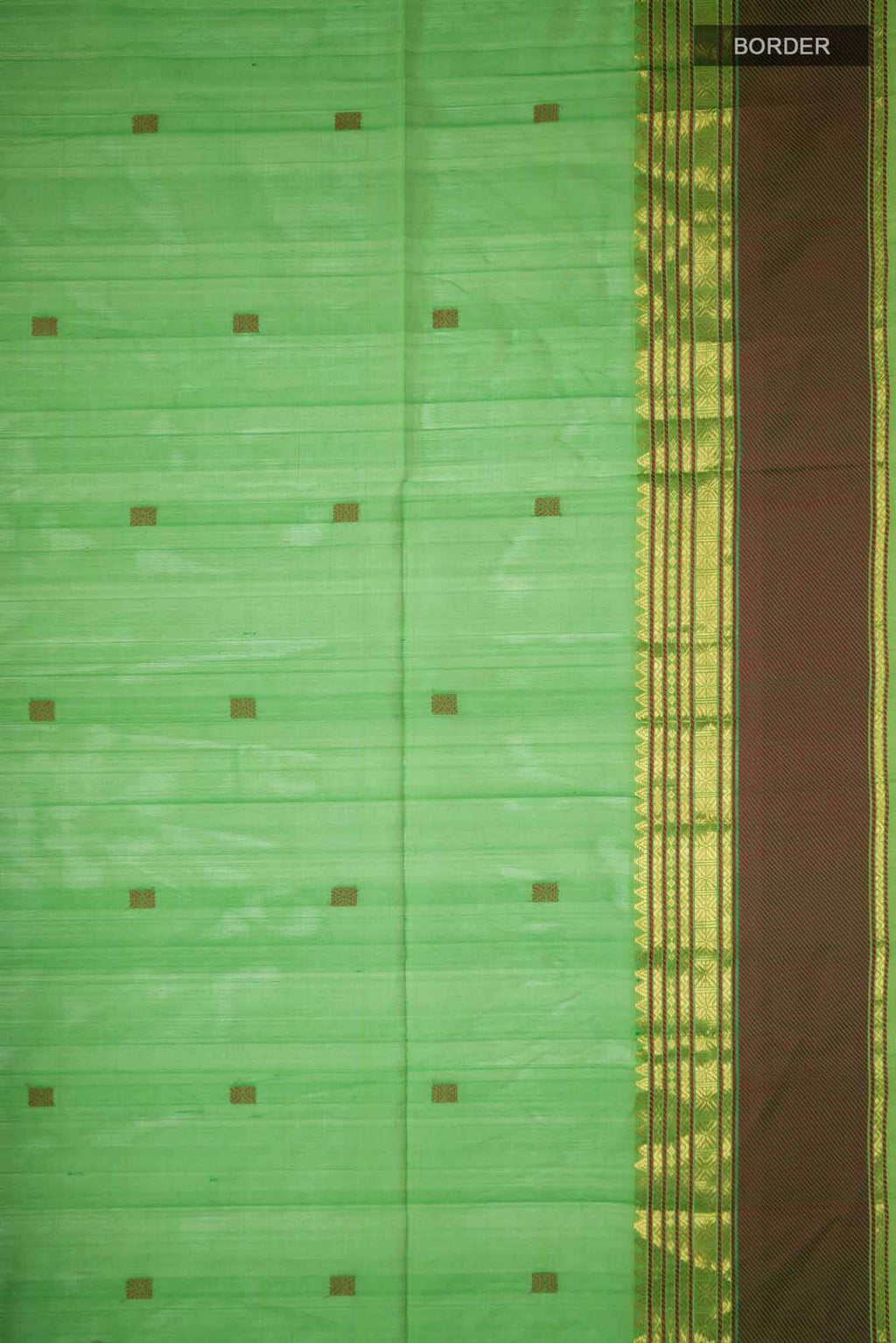 Parrot Green Coimbatore Silk Cotton Saree