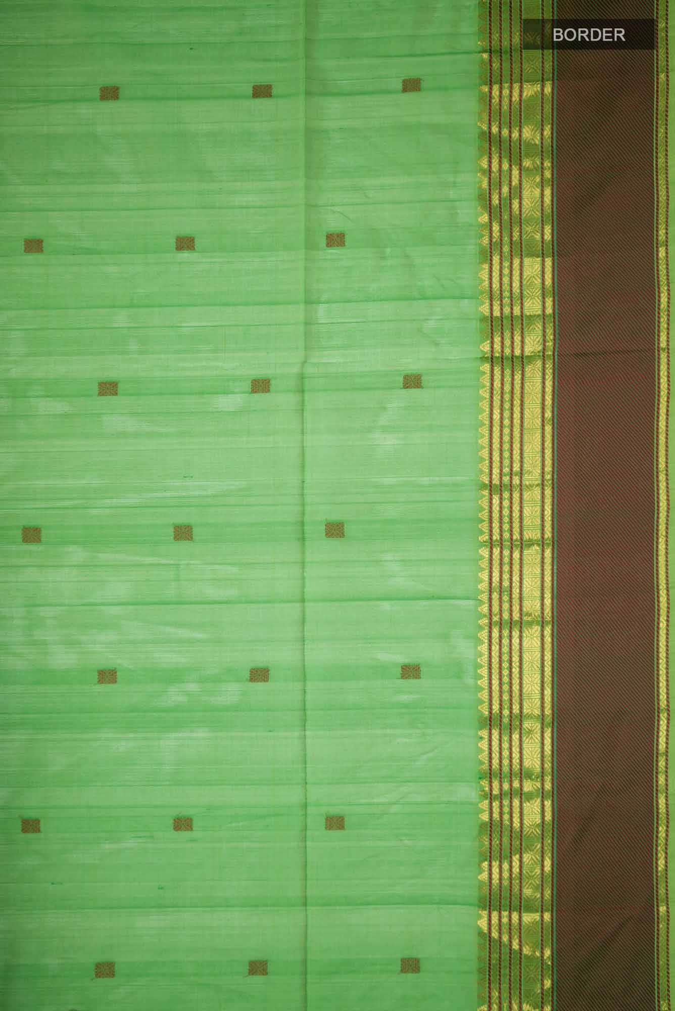 Parrot Green Coimbatore Silk Cotton Saree