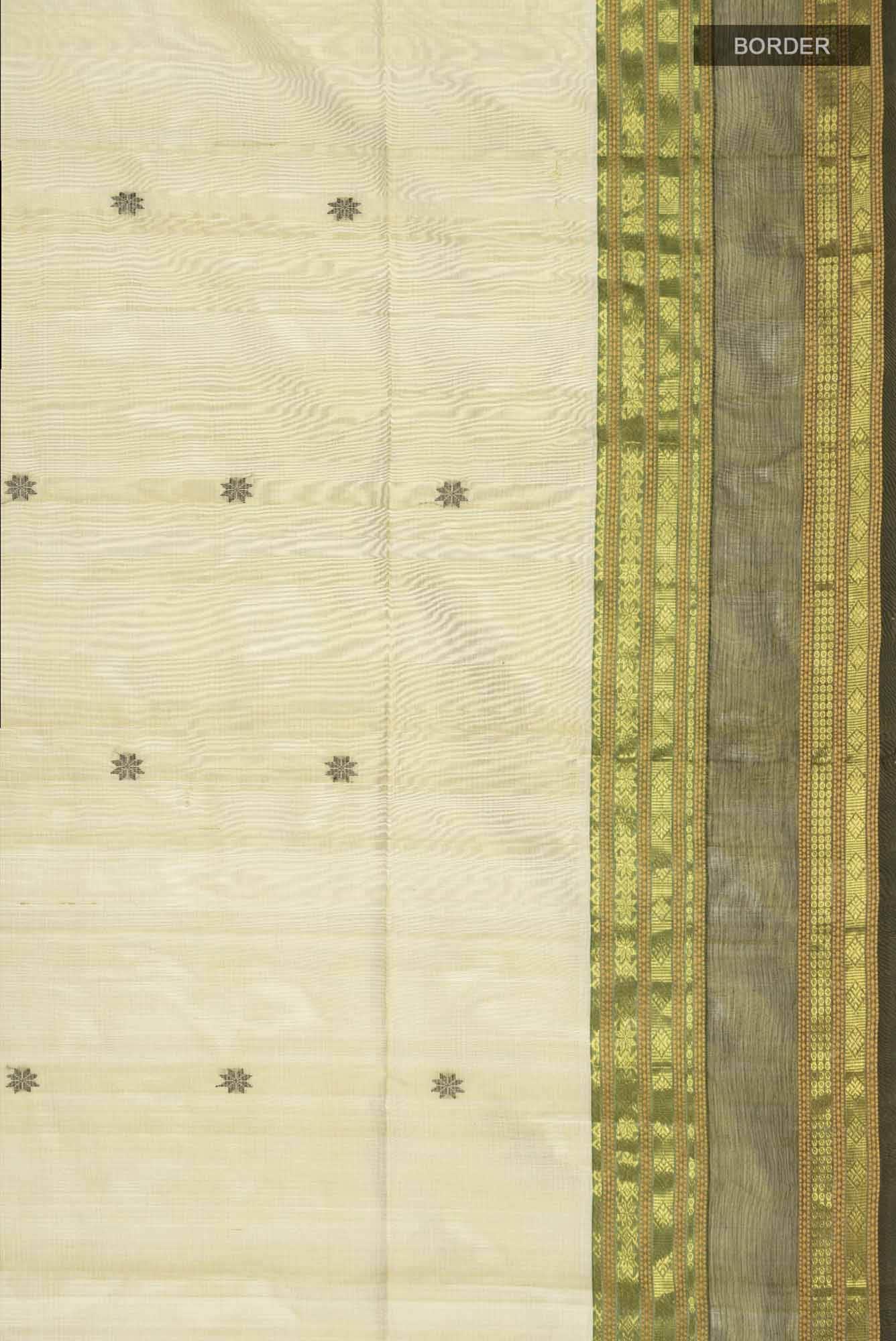 Green Coimbatore Silk Cotton Saree