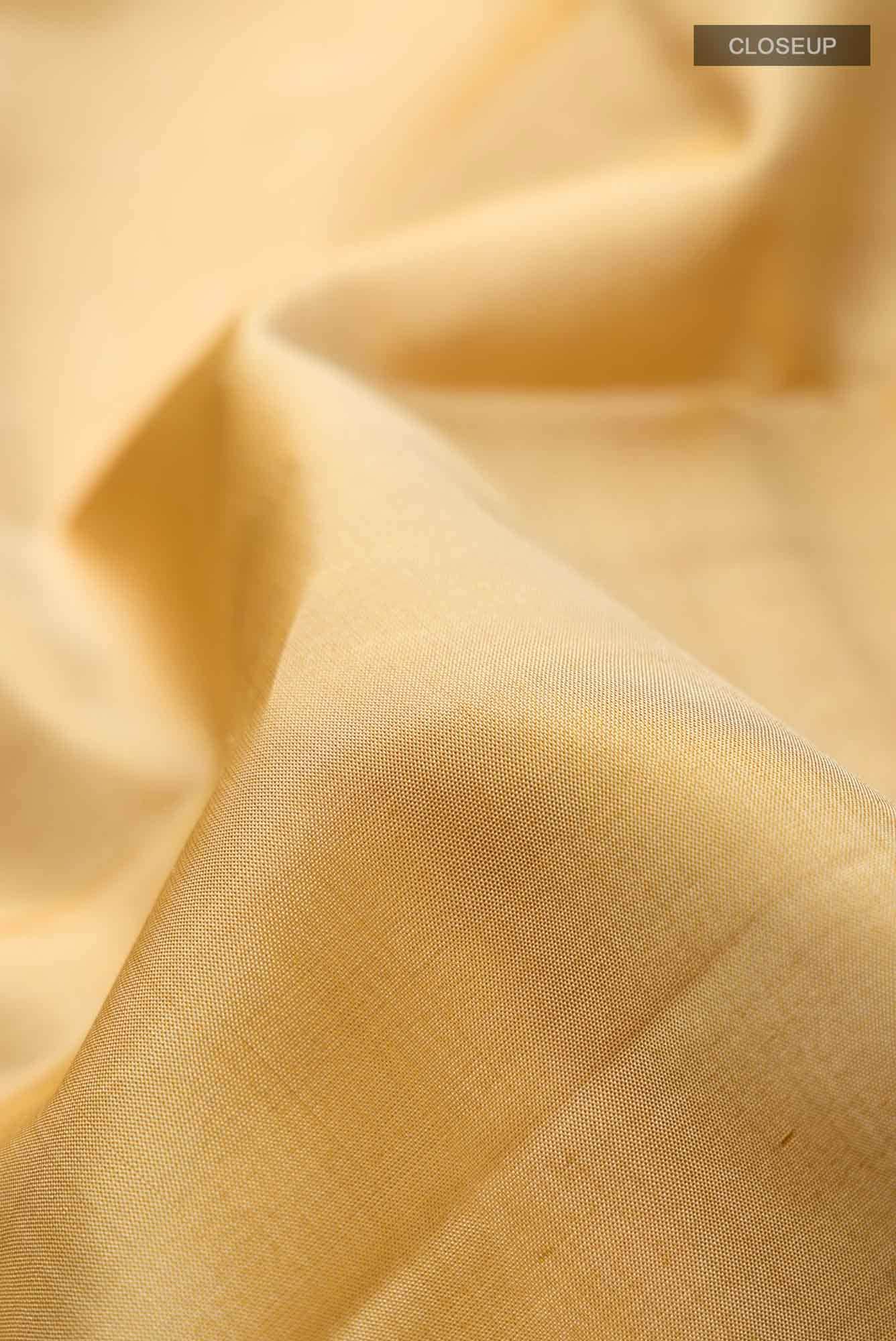Beige Kanchipuram Silk Saree