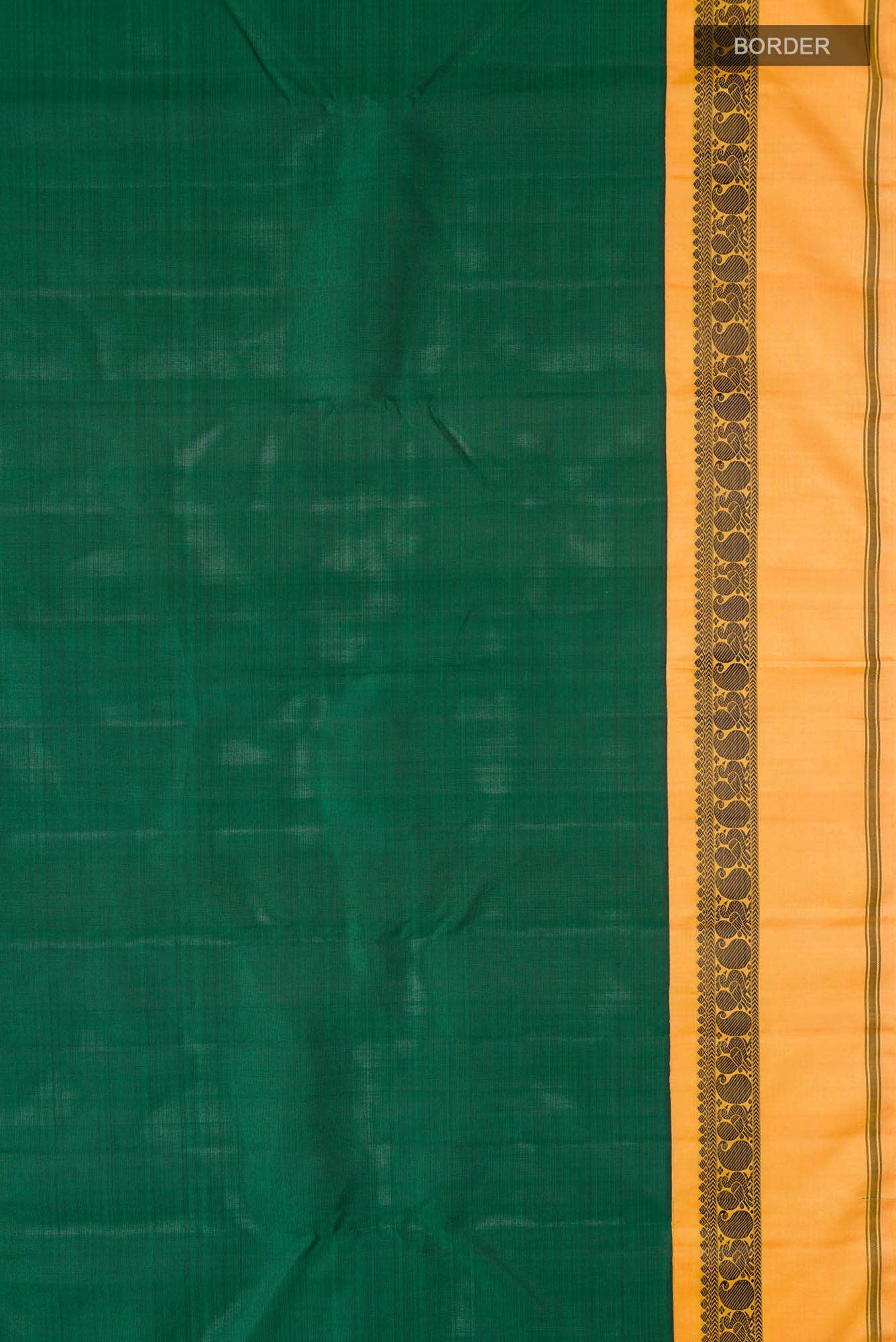 Green Kanchipuram Silk Saree