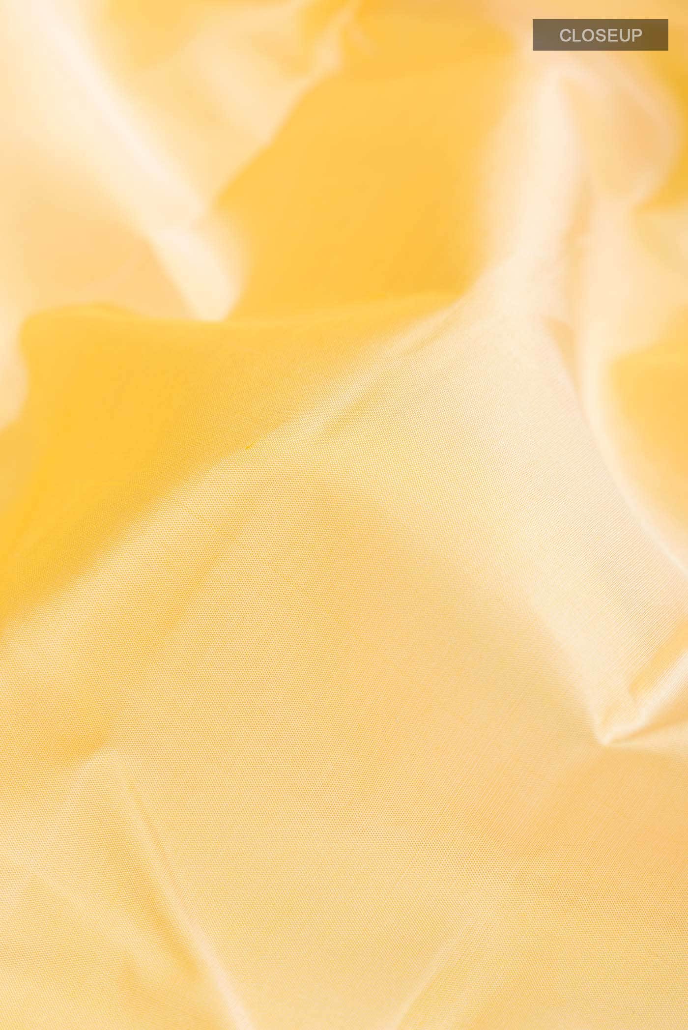 Yellow Kanchipuram Silk Saree