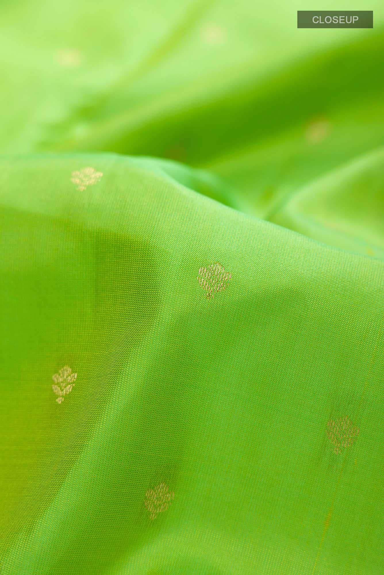 Green Kanchipuram Silk Saree