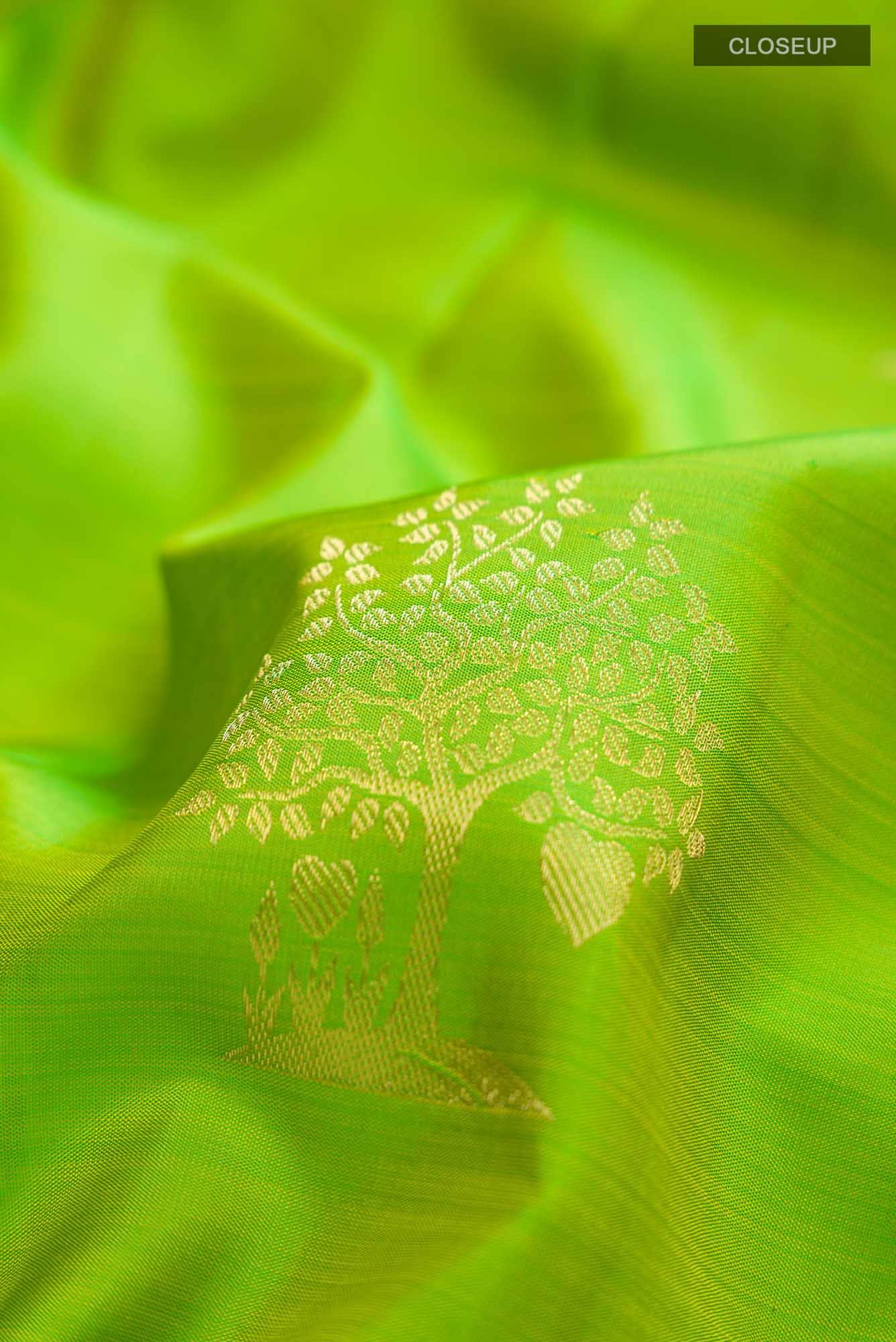 Green Kanchipuram Silk Saree