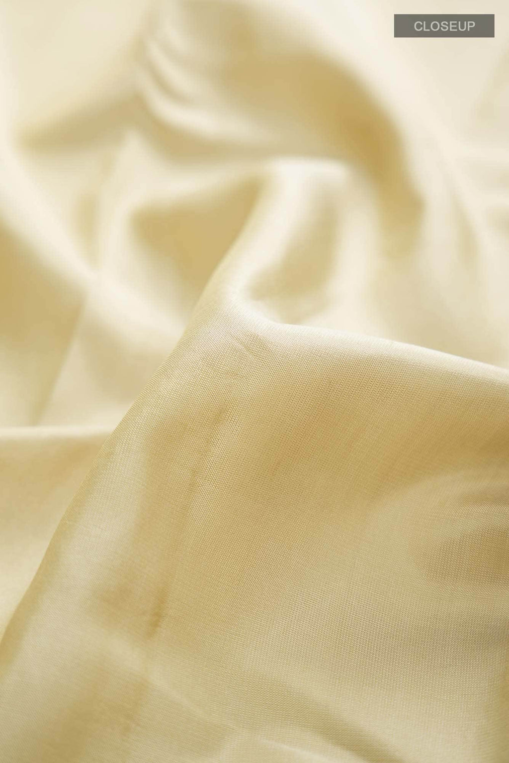 Beige Kanchipuram Silk Saree