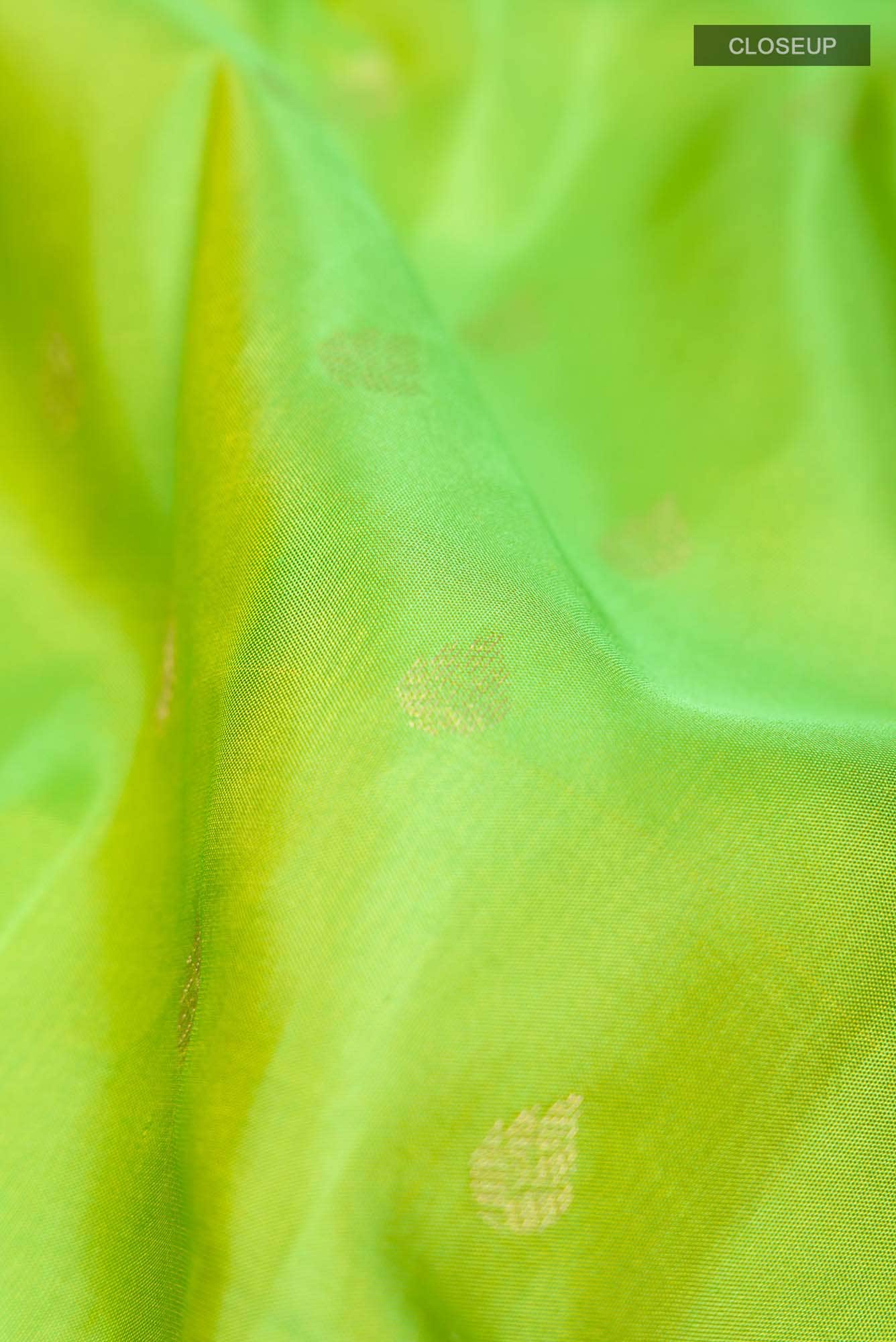 Green Kanchipuram Silk Saree