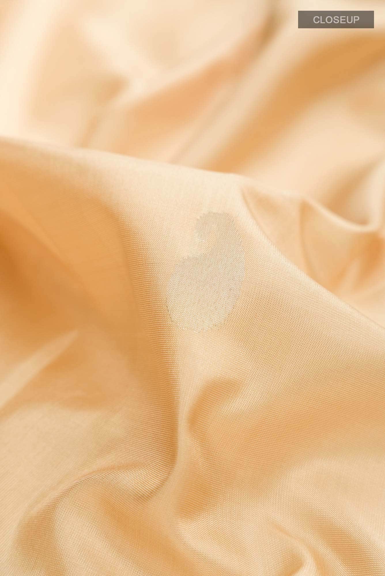Beige Uppada Silk Saree