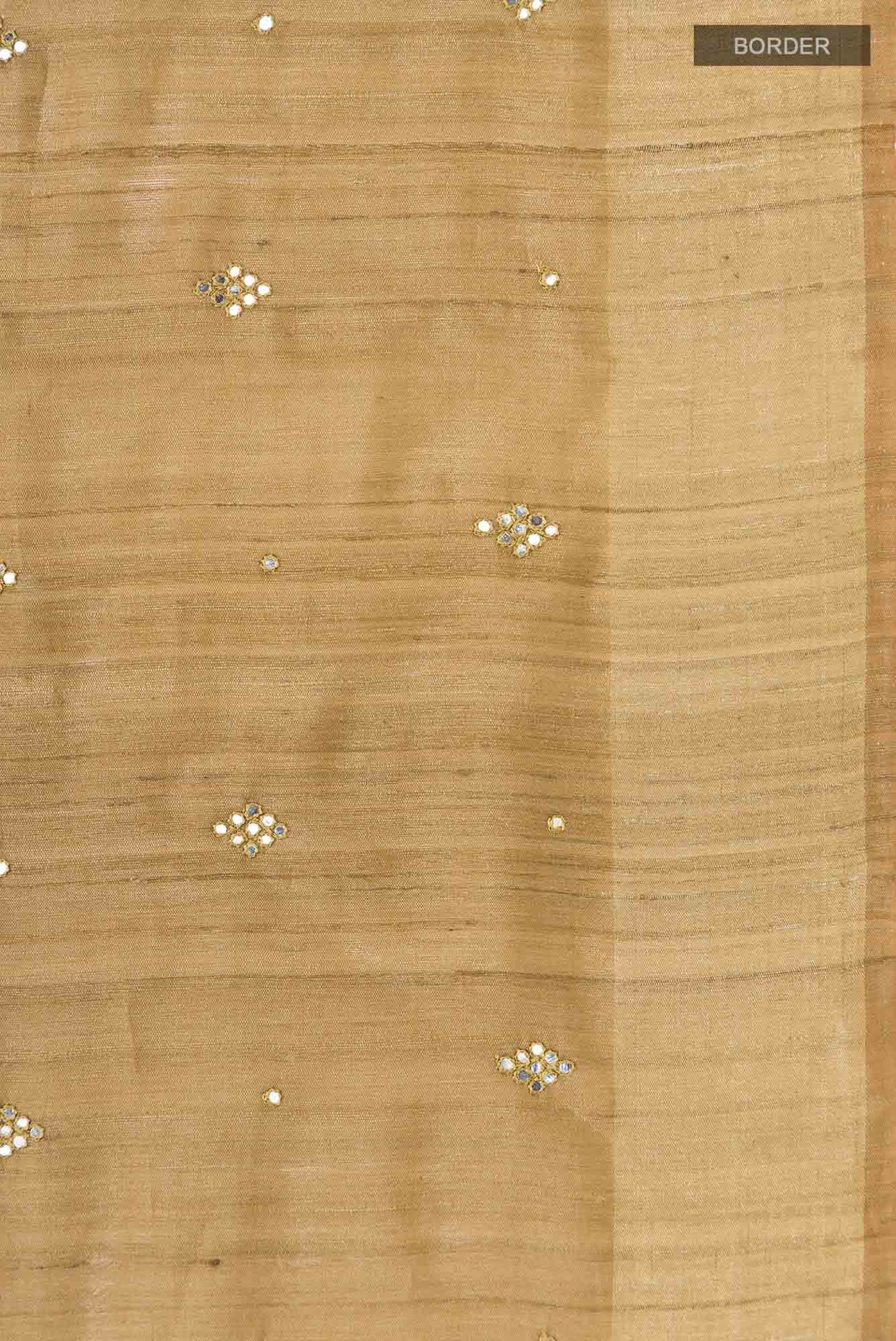 Dark Beige Bhagalpuri Tussar Silk Saree
