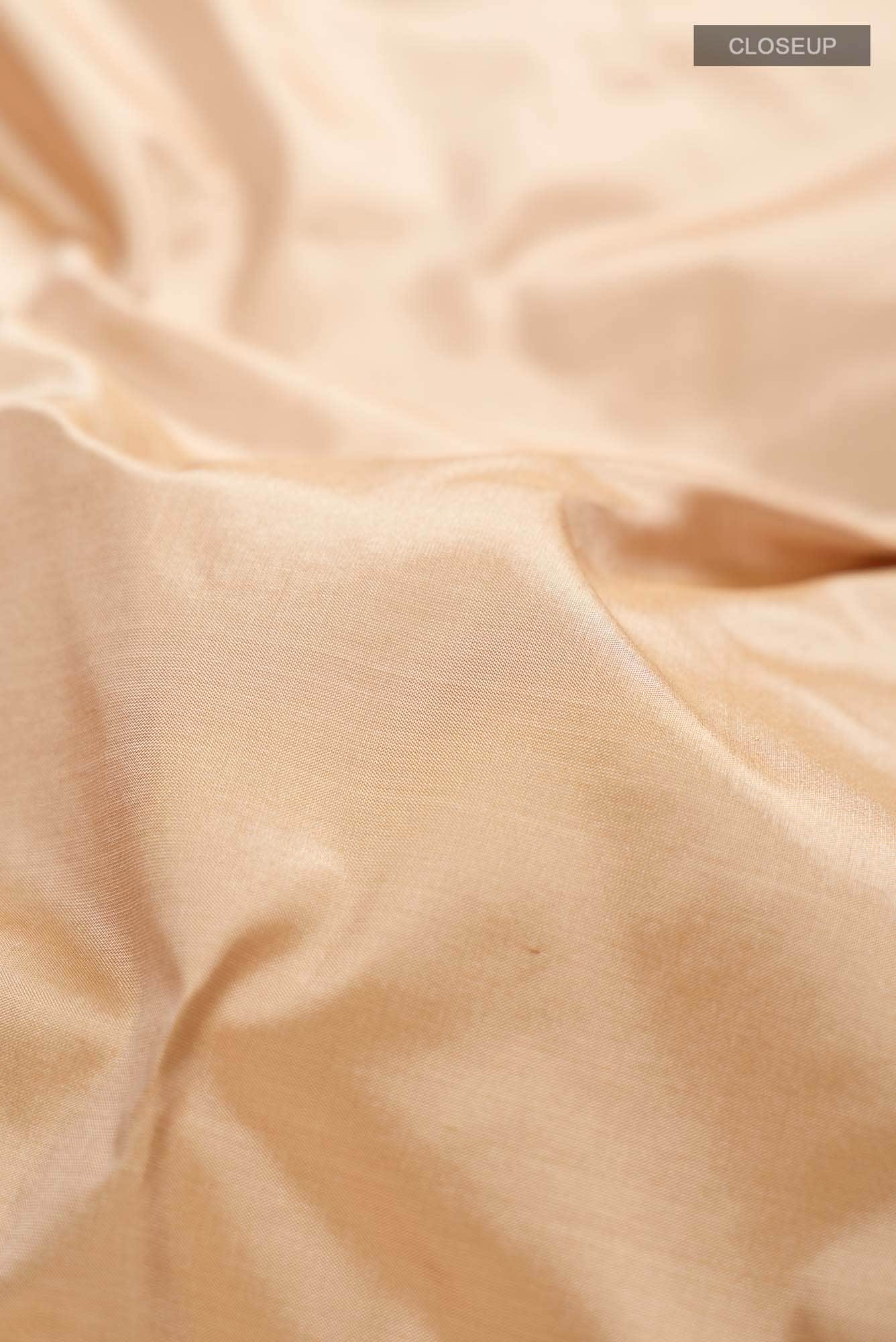 Beige Bangalore Silk Saree