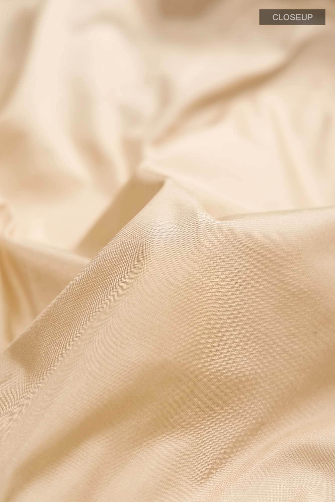 Beige Bangalore Silk Saree