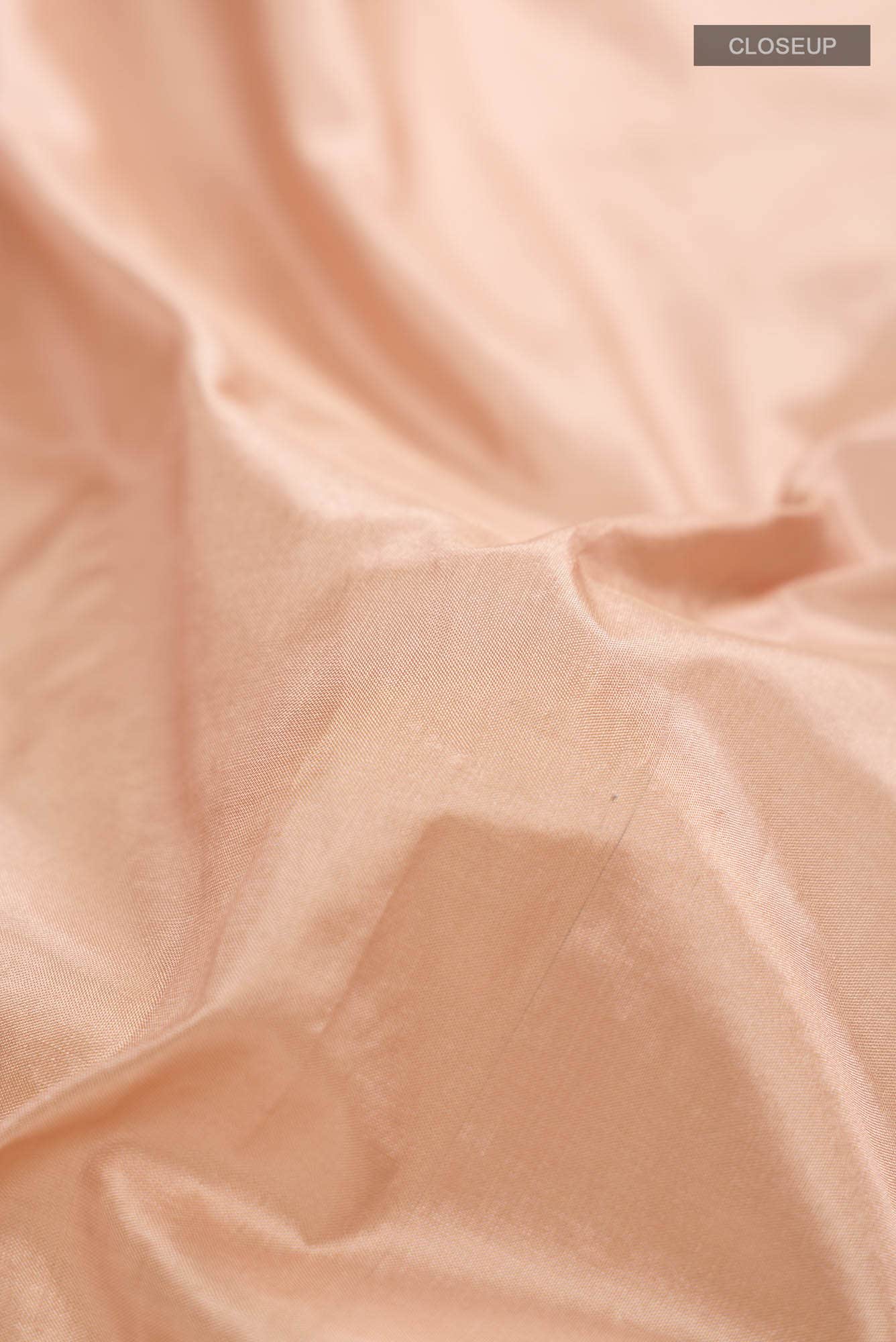 Beige Bangalore Silk Saree