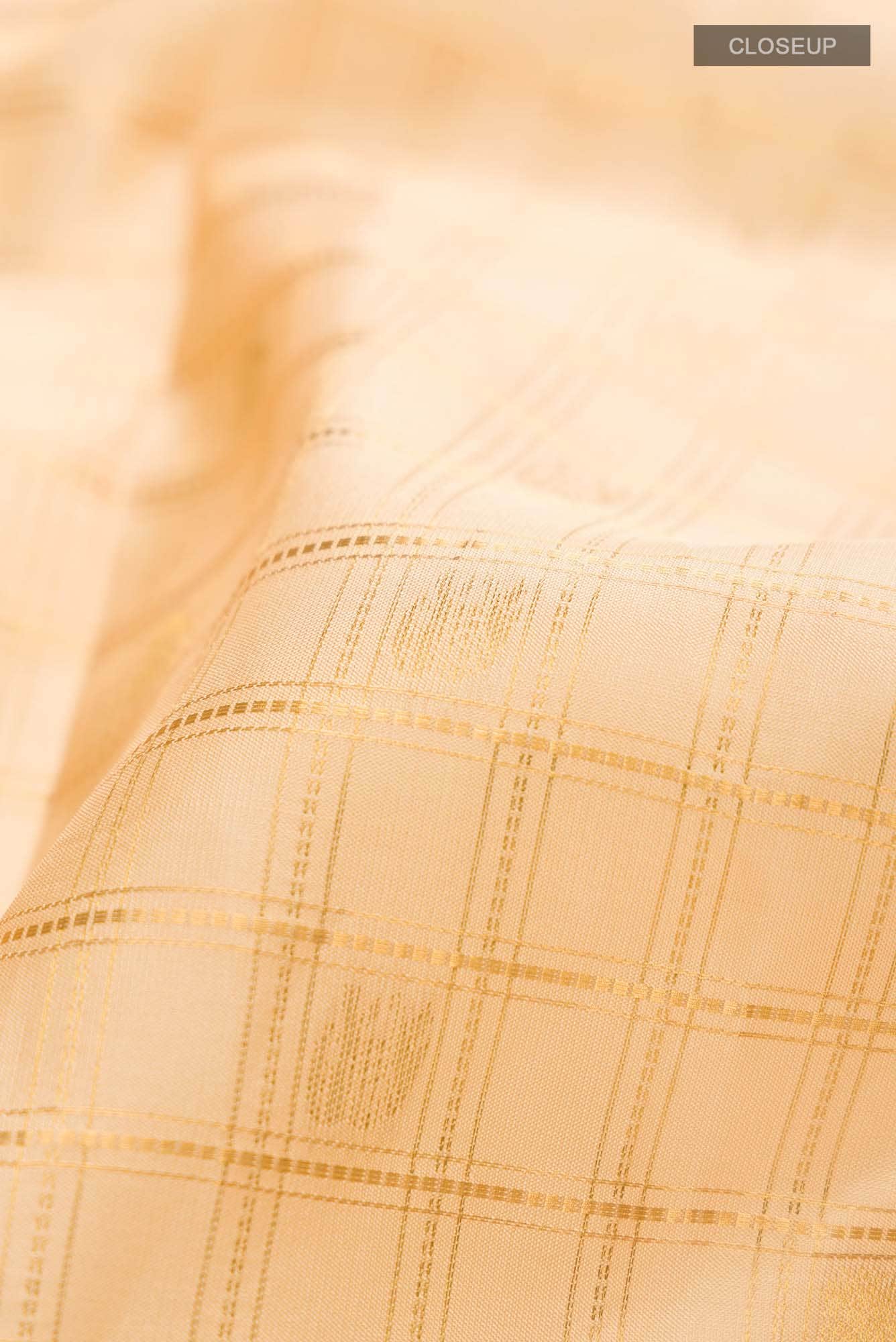 Beige Kanchipuram Silk Saree